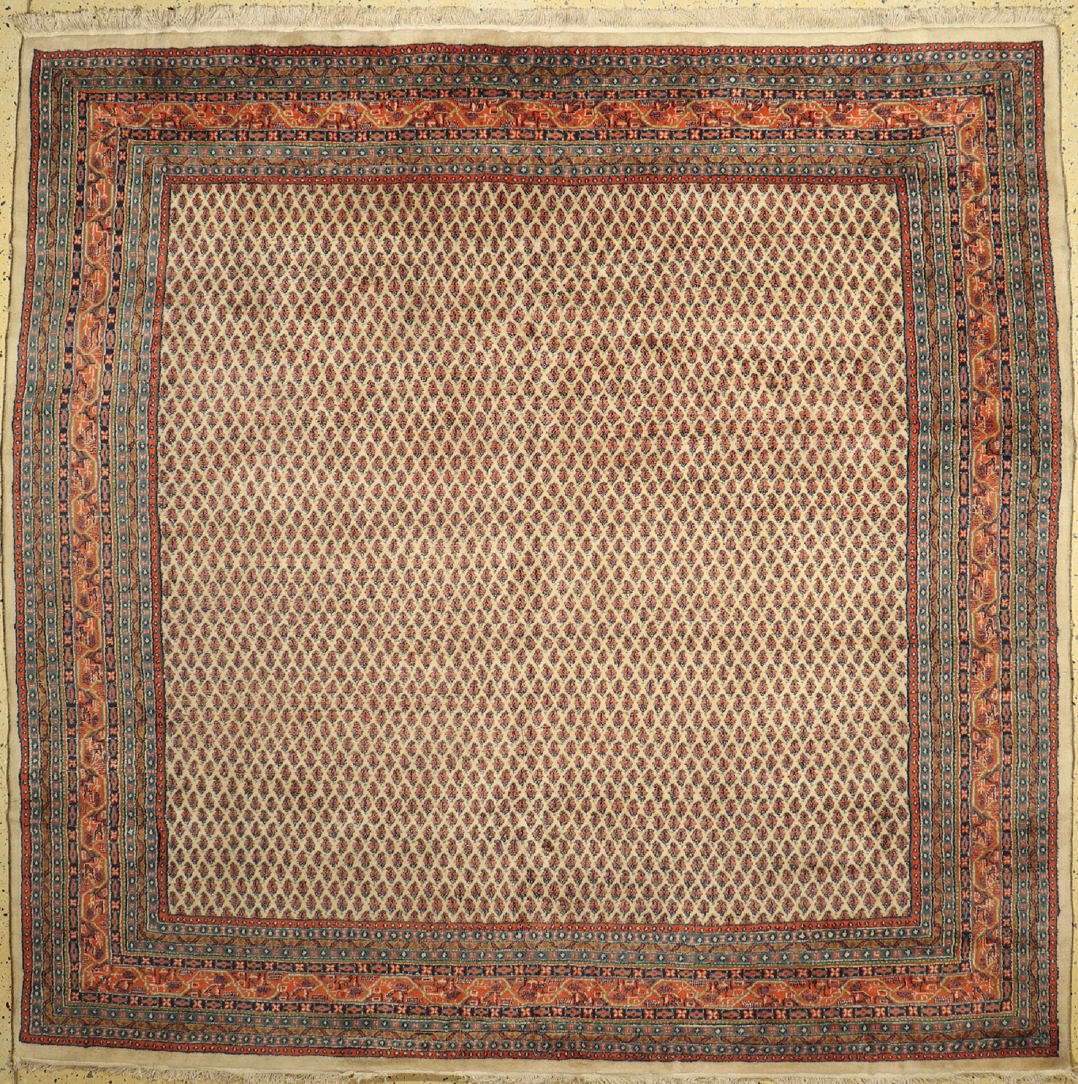 Sarogh Mir, Indien, ca. 40 Jahre, Wolle aufBaumwolle, ca. 251 x 260 cm, EHZ: 1-2
