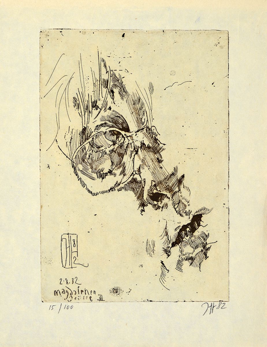 Horst Janssen, 1929-1995, Magdalena Grüsse III, Radierung von 1982, handsigniert, dat., num. 15/100, ca. 25.5x18cm, dazu Buchband: Paranoia, ...
