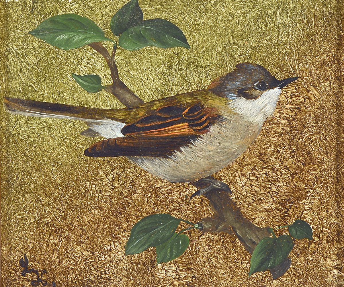 Detail a: Helene Freiin von Krauß, 1870 Millstatt/Kärnten-1950, Paar Ölgemälde auf Holzplatte, Sperling und Eisvogel, je monogrammiert, Alterssp., 12,5x15 ...