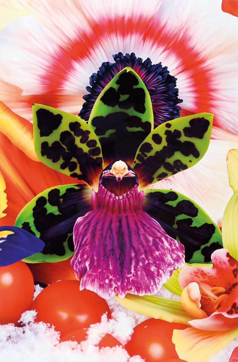 Marc Quinn, geb. 1964 London, Fotografie, "Red Sky in the Arctic", 2019, Pigmentdruck auf Hahnemühle William Turner, Ed. 22/100,, 50x53 ...