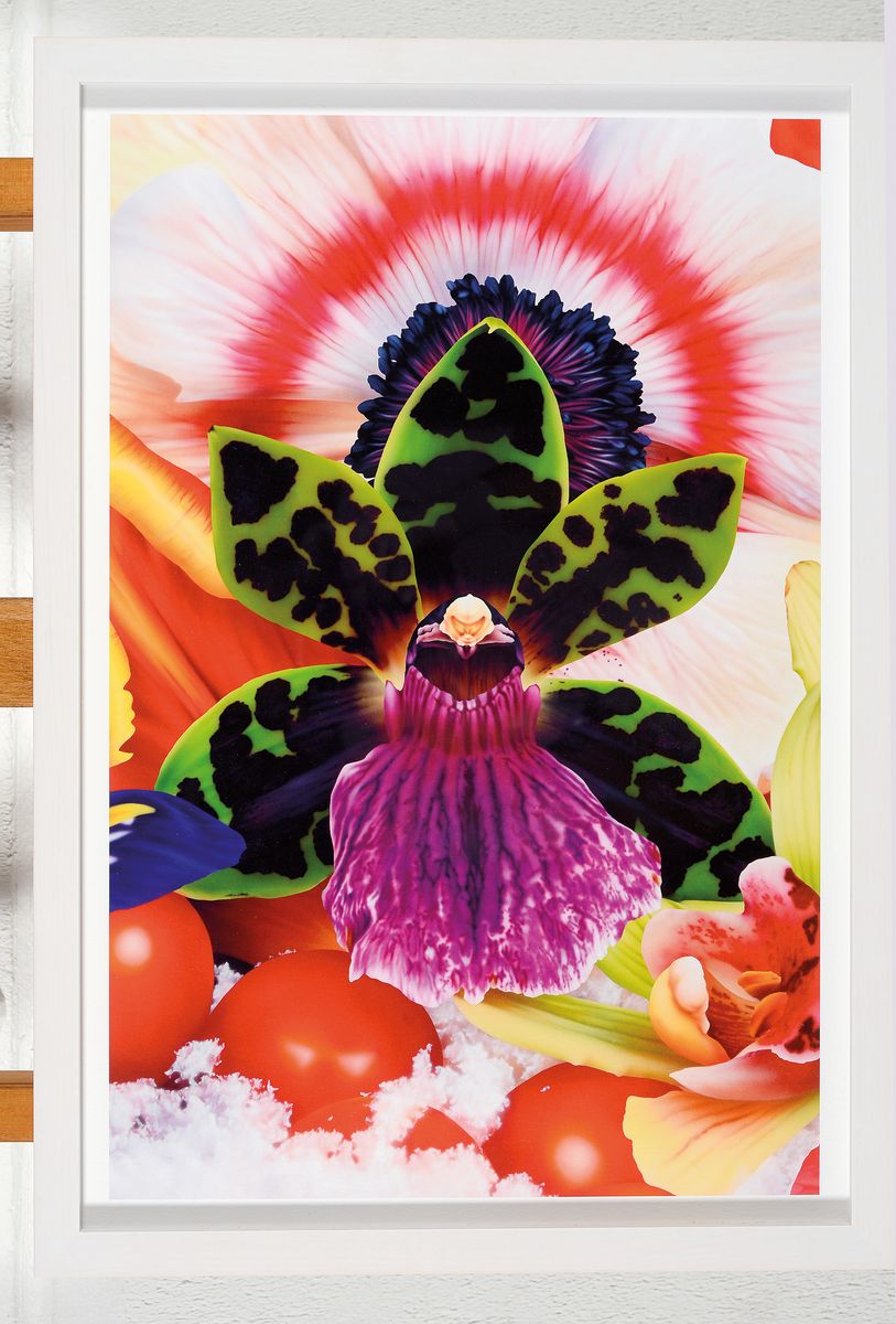 Detail k: Marc Quinn, geb. 1964 London, Fotografie, "Red Sky in the Arctic", 2019, Pigmentdruck auf Hahnemühle William Turner, Ed. 22/100,, 50x53 ...