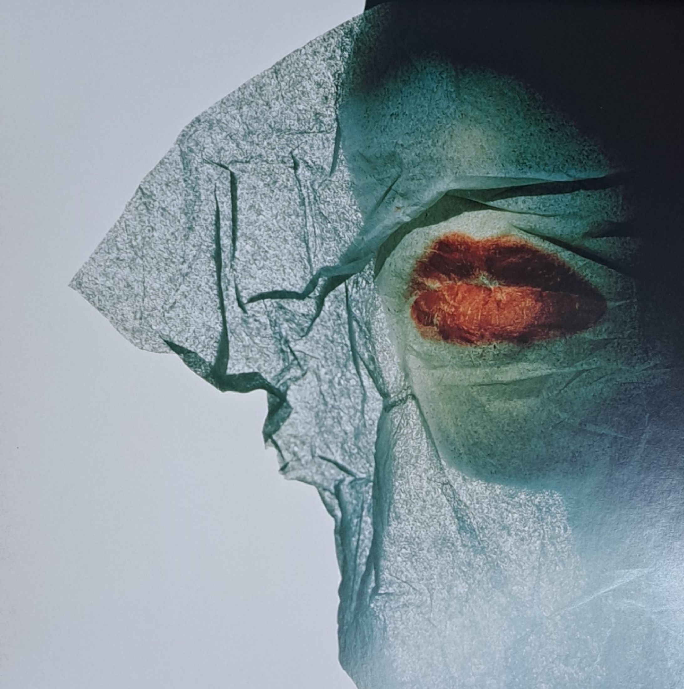 Detail c: Vogue- Limited Edition, Portfolio zum 20ten Jubiläum, 1979-1999, mit insgesamt 45 Fotografien, num. 1845/2000, Berlin Conde Nast Verlag 1999, im ...