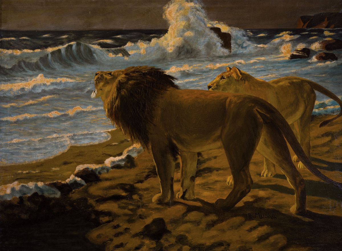 R. Muske, Künstler des 20.Jh., Löwen am Strand, Öl/Lwd, signiert, rest., Rahmen 95x120cm