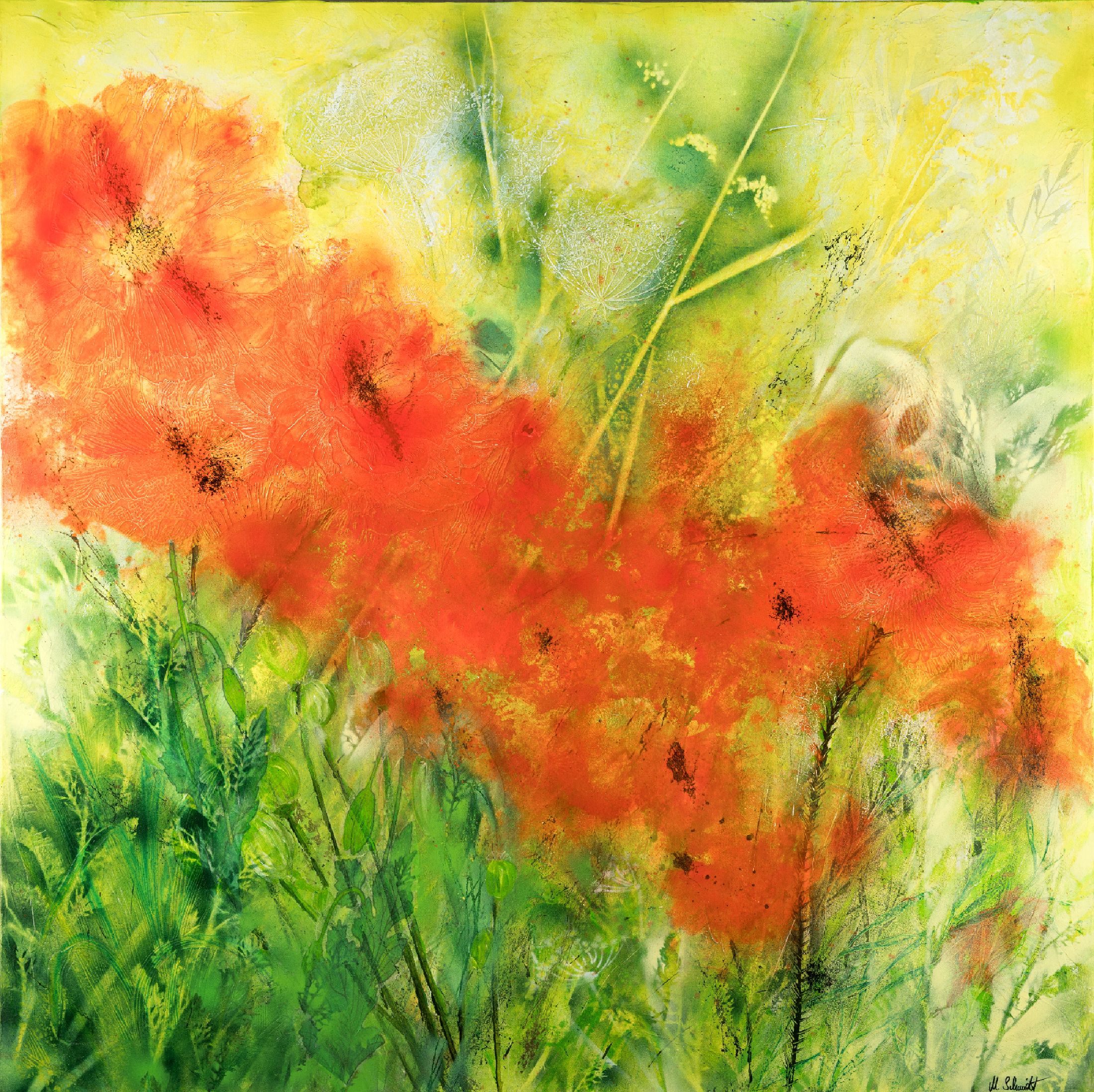 Marion Schmidt, geb. 1963 Eschwege, Mohnblumen, Acryl und Öl auf Lwd, signiert, ca. 100x100cm