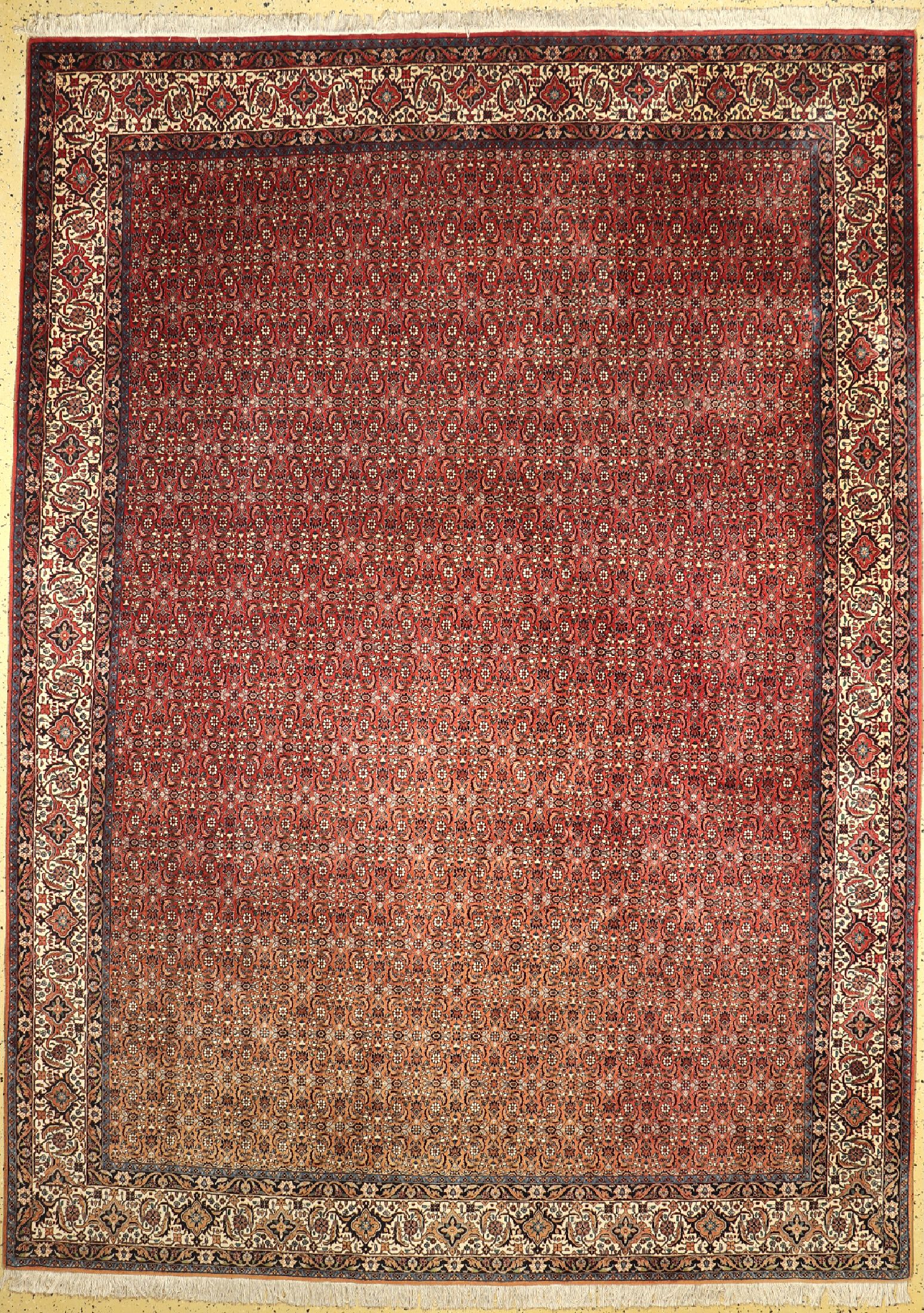 Bidjar fein, Persien, ca. 50 Jahre, Korkwolle auf Baumwolle, ca. 355 x 255 cm, verblasst, EHZ: 1-2