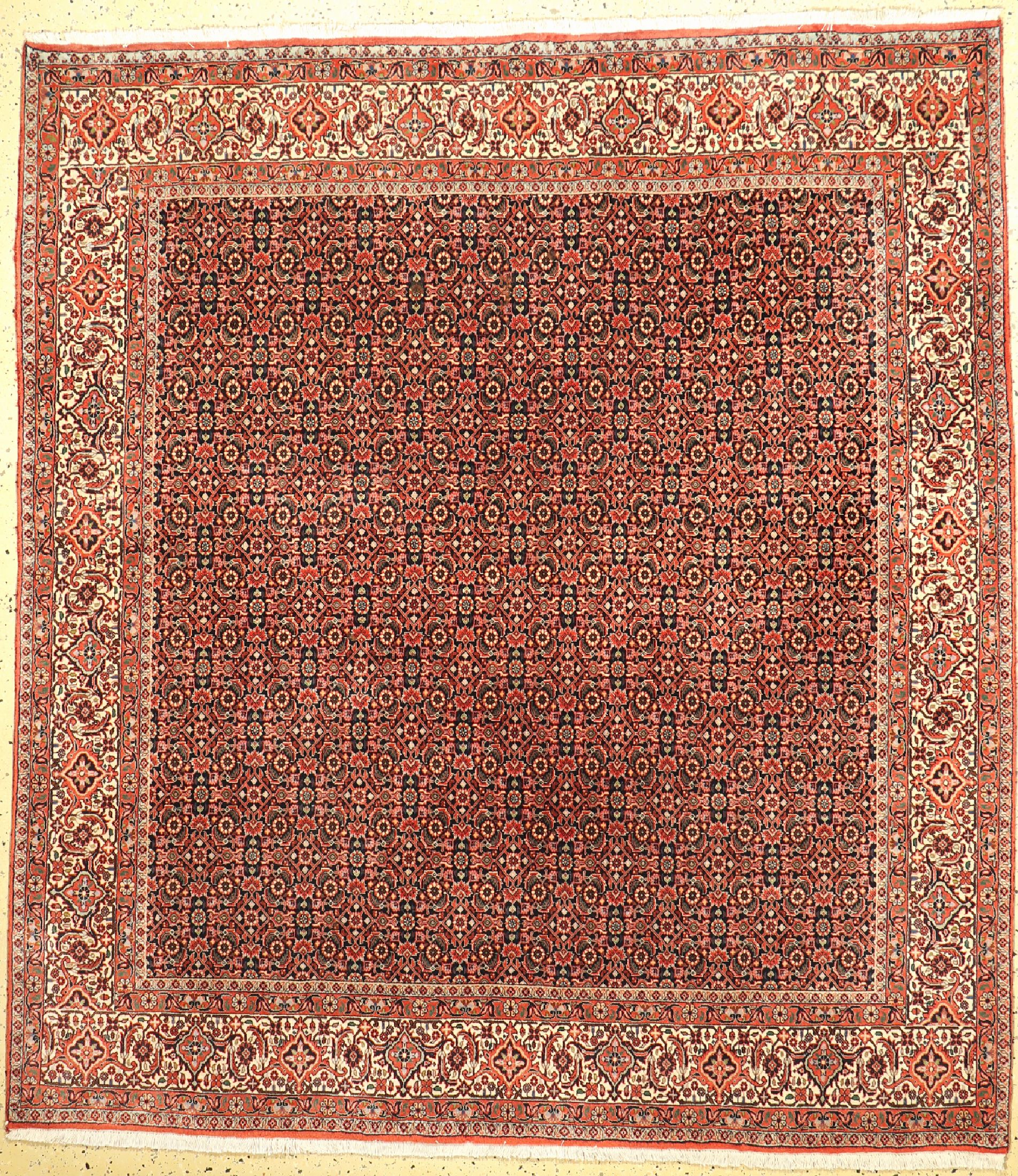 Bidjar fein, Persien, ca. 50 Jahre, Korkwolle auf Baumwolle, ca. 225 x 204 cm, EHZ: 1-2