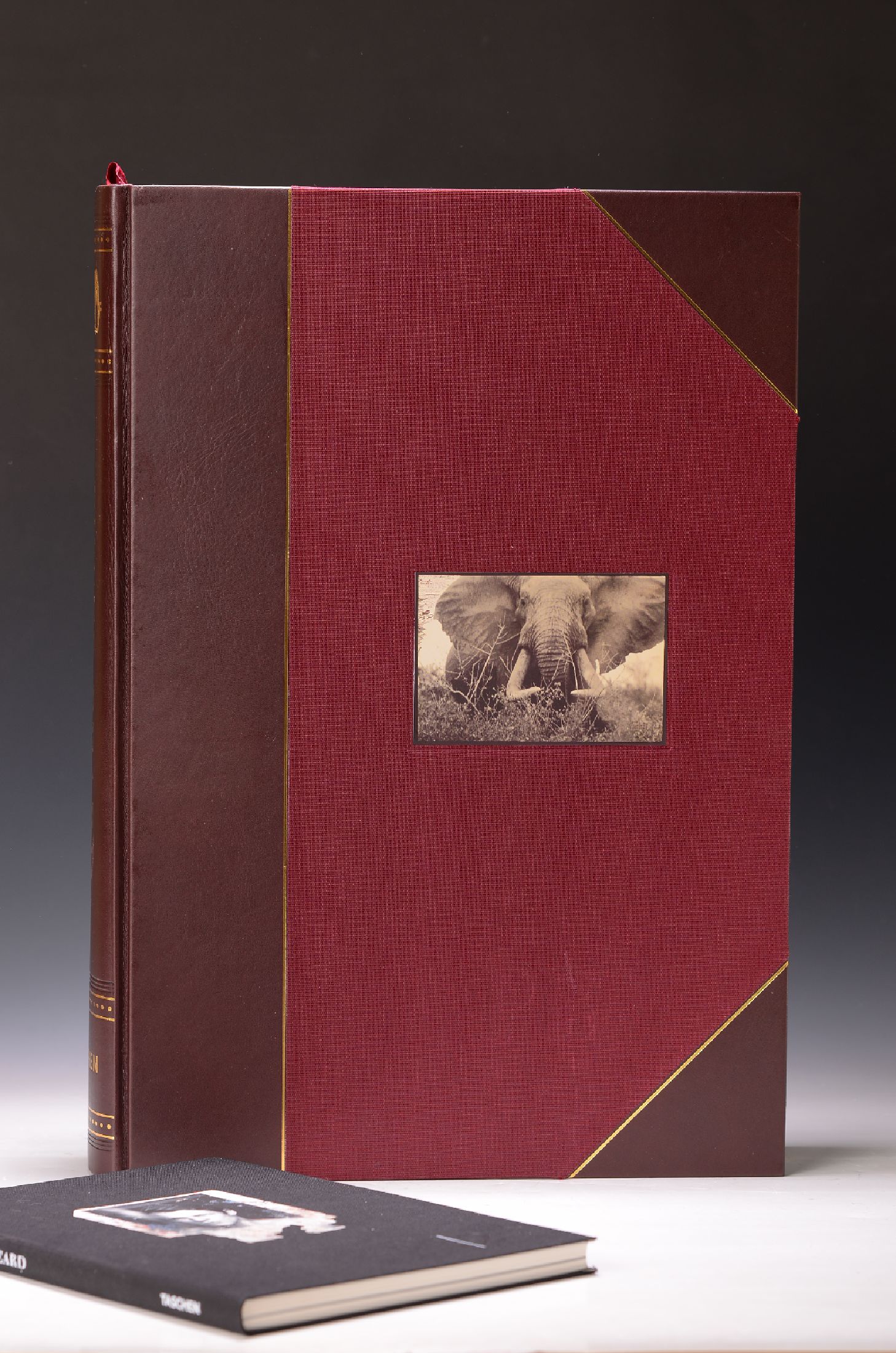 Peter Beard (1938-2020): Peter Beard, Taschen, New York 2006, Titel signiert und besprenkelt in schwarzer Tinte, Ed. 2101/2500, 595 S., mit ...