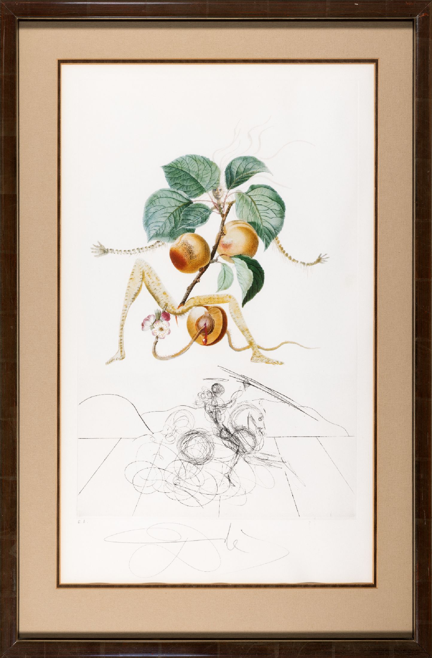 Salvador Dali, 1904-1989, "Abricot chevalier", 1969/70, aus Floradali (Les Fruits), Ed. E.A. aus geringer Auflage, Kaltnadelradierung über ...