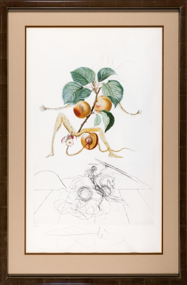 Detail k: Salvador Dali, 1904-1989, "Abricot chevalier", 1969/70, aus Floradali (Les Fruits), Ed. E.A. aus geringer Auflage, Kaltnadelradierung über ...