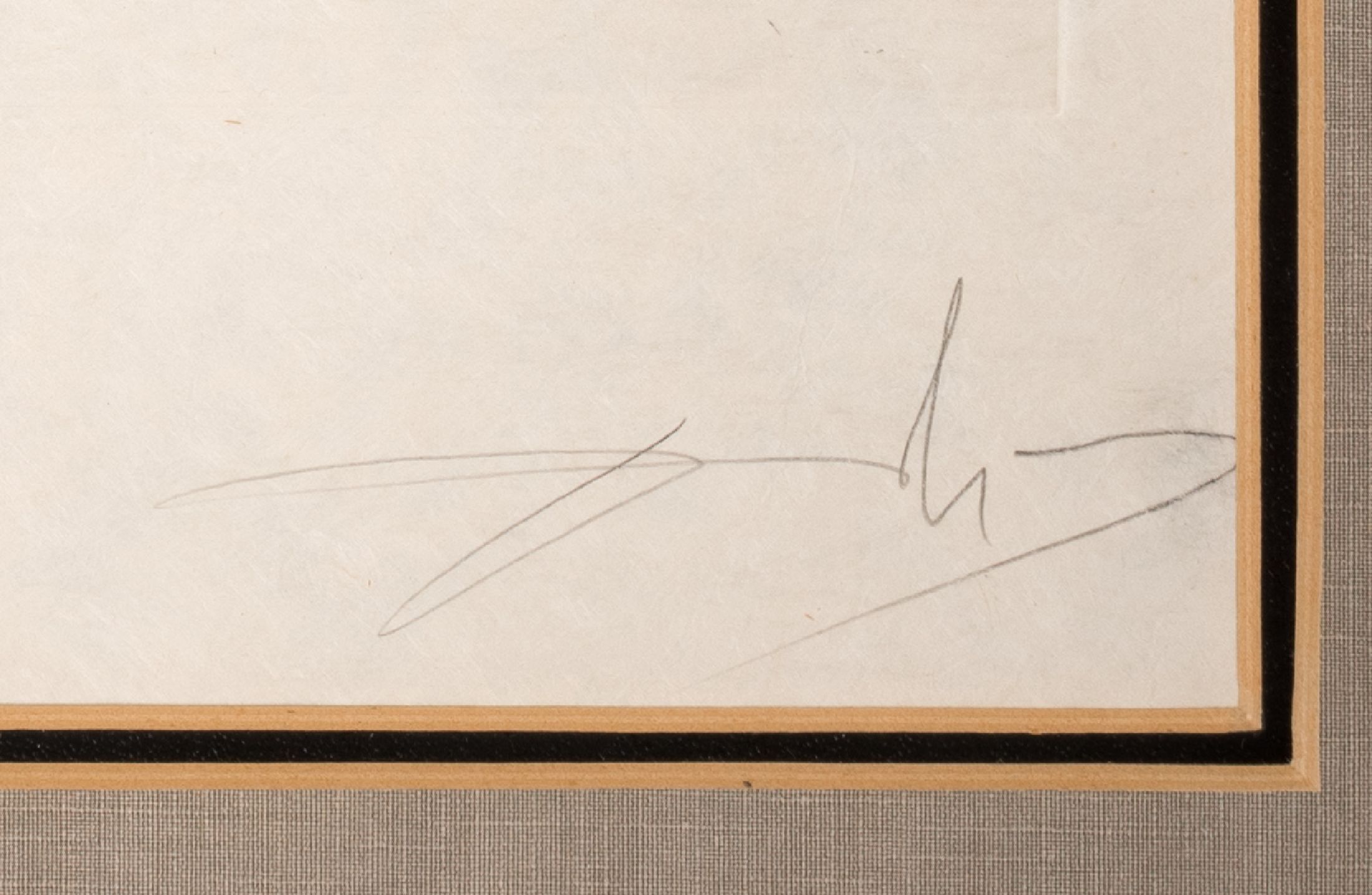Detail a: Salvador Dali, 1904-1989, "Pampelmousse erotique", 1969/70, aus Mappenwerk Floradali (Les Fruits), Ed. XII/XXXV, Kaltnadelradierungüber ...
