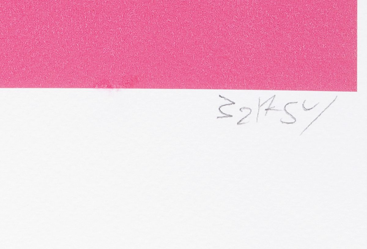Detail e: Banksy, Choose your weapons, Farboffset, handsign., num. 59/60, Blattgr. ca.50x35 cm