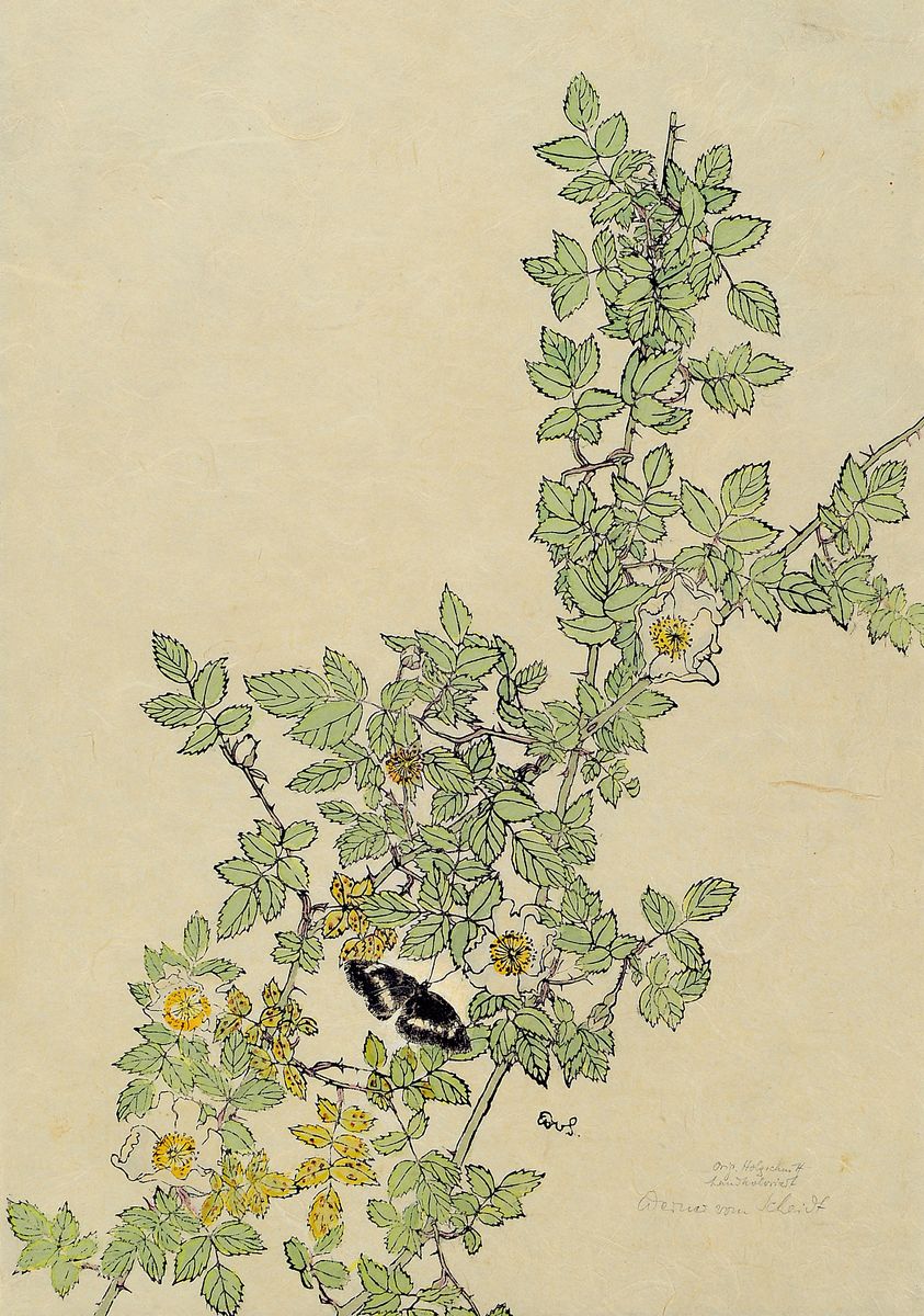Werner von Scheidt, 1894 Grosbliederstroff -1984 Bad Bergzabern, 4 Holzschnitte, Holzschnitt auf drei Blättern: belebter Baum in voller Größe, ...