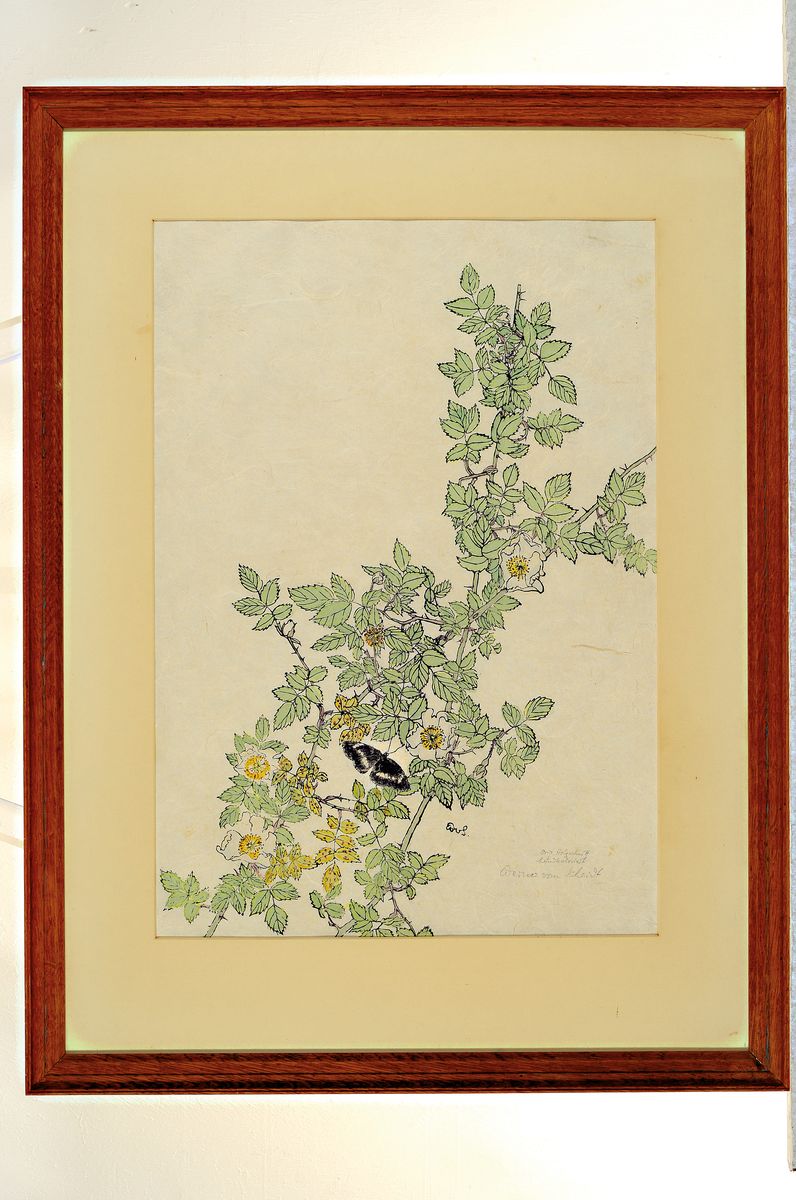 Detail k: Werner von Scheidt, 1894 Grosbliederstroff -1984 Bad Bergzabern, 4 Holzschnitte, Holzschnitt auf drei Blättern: belebter Baum in voller Größe, ...