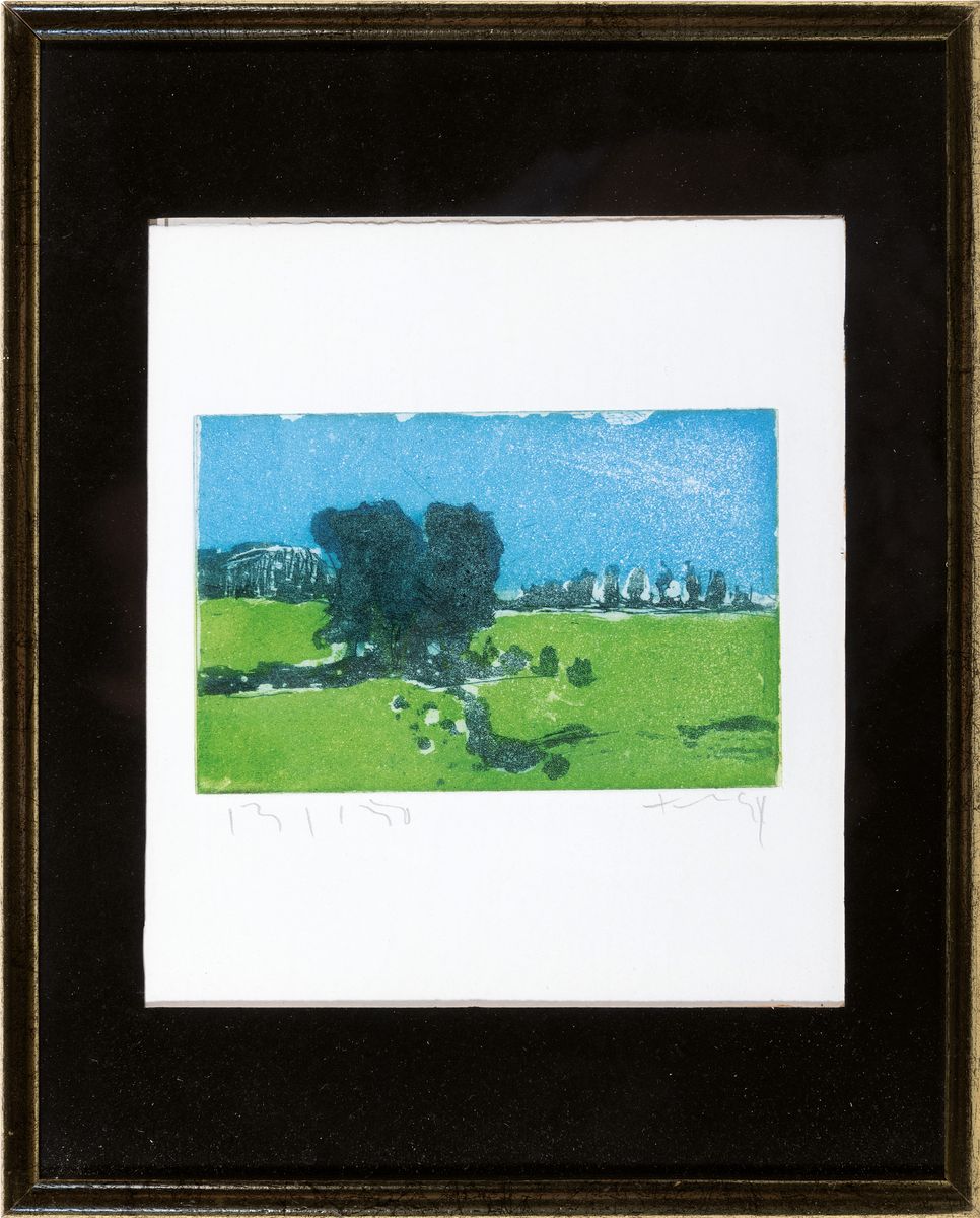 Detail k: Klaus Fußmann, geb. 1938, Farbradierung, "Rheinwiesen bei Xanten", handsigniert, Alterssp., Platte 10x15 cm, unter Glas 32x25 cm