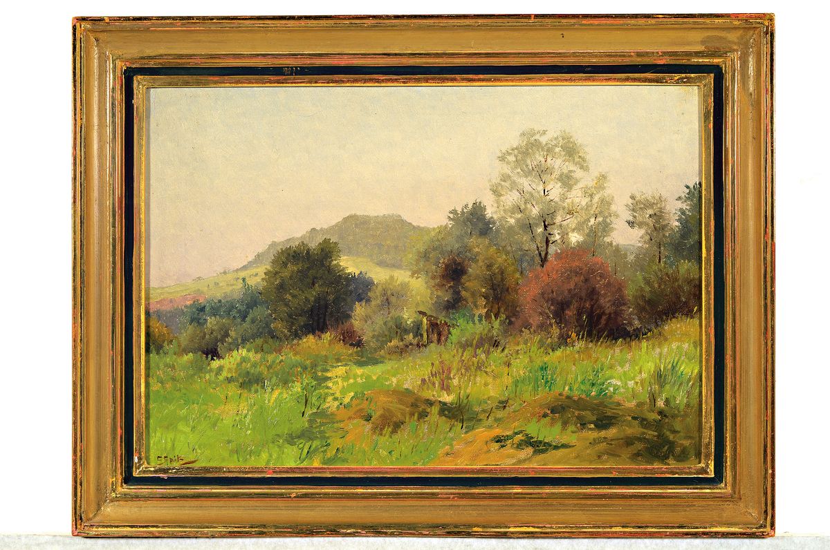 Detail k: Carl Spitz, 1853 Karlsruhe-1937 Freiburg, Hügelige Wiesenlandschaft, Öl/Malkarton, links unten signiert, ca. 27x39cm, R. ca. 34.5x46.5cm