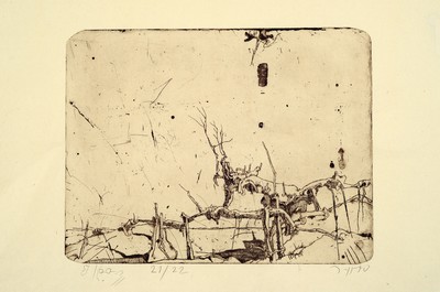 Image 26676595 - Horst Janssen, 1929-1995 Hamburg, etching, landscape with vines, Ed. 21/22, hand signed and numbered, unframed, sheet 38x51 cm