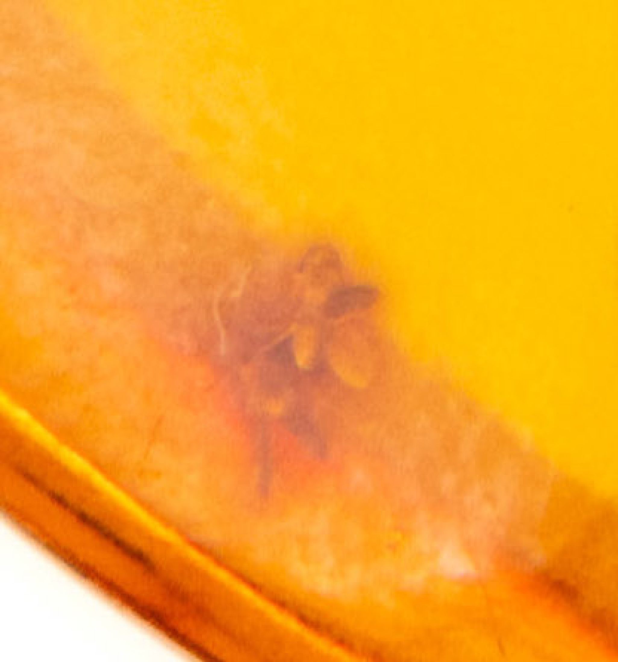 Detail b: Bernstein-Anhänger, 100-Füßler Einschluss und Fliege, ca. 35 Mio. Jahre alt, klarer Bernsteintropfen aus der Dominik. Rep.,bemerkenswert an dem ...