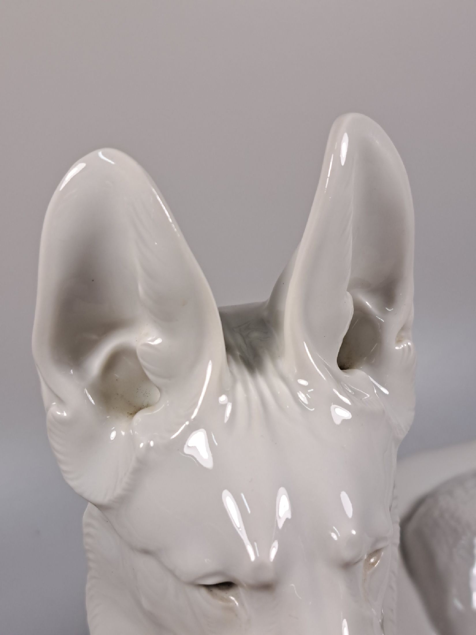 Detail i: Große Porzellanfigur, Allach, 1940er Jahre, liegender Schäferhund, weiß, Entwurf Theodor Kärner, sign., Blindmarke, Krallenspitze am Vorderlauf ...