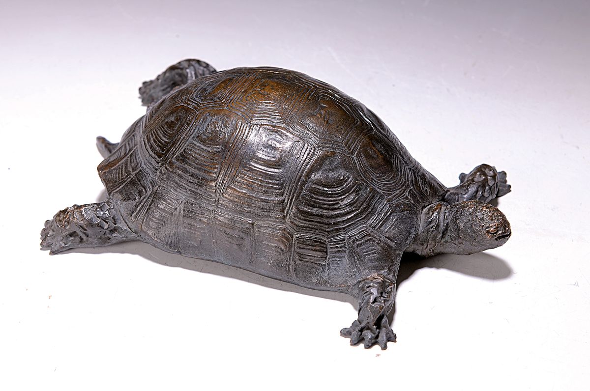 Renate Fellner, geb. 1945, Bronzeskulptur, Schildkröte, am, Boden signiert und dat. 91, num. 2/20, ca. 9 x 29 x 17 cm