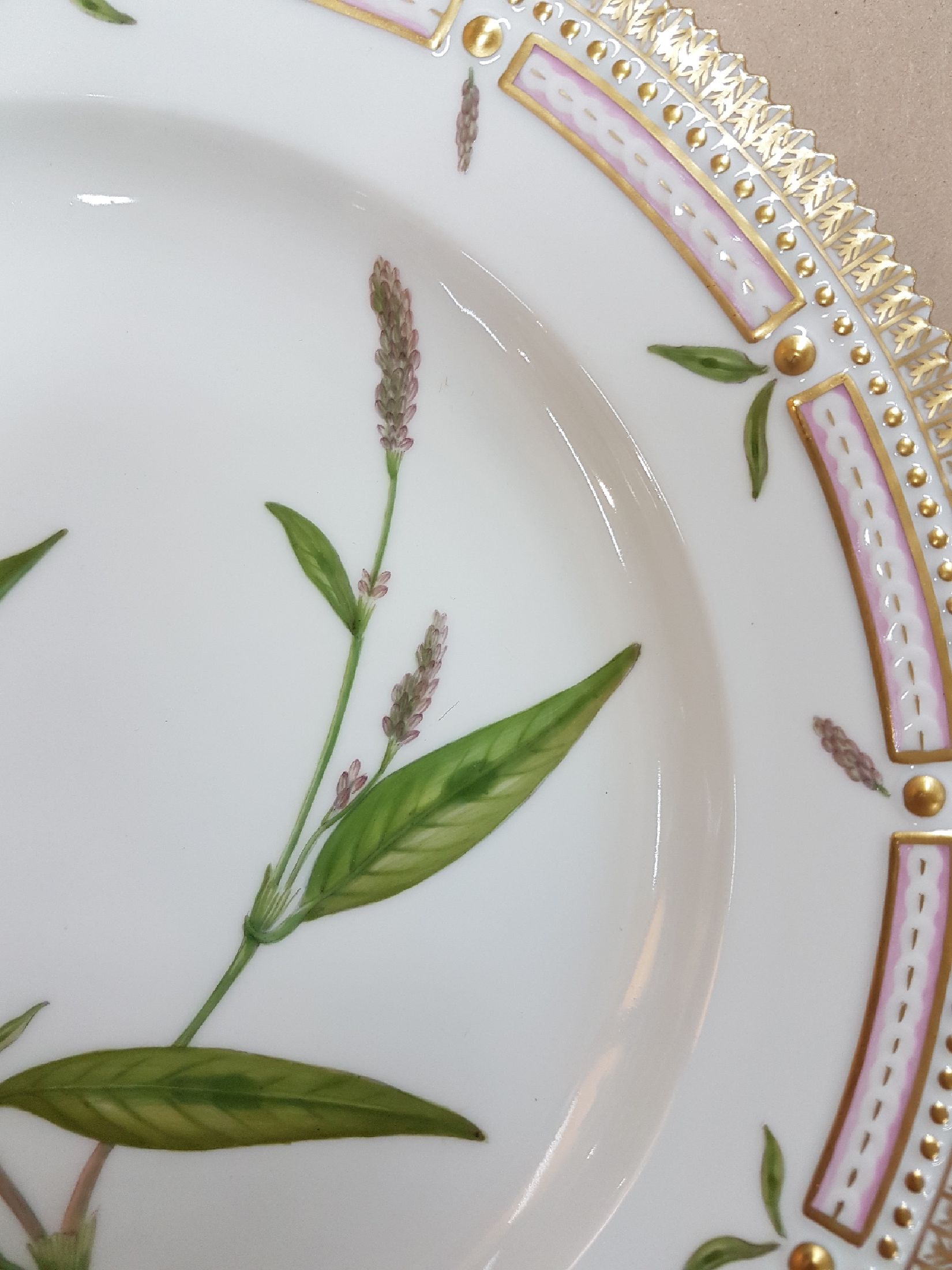 Detail b: Flacher Teller, Kgl. Kopenhagen, aus der Serie Flora Danica, Poligonium Persicaria L, bunt bemalt, Goldrand, D. ca. 25.5cm