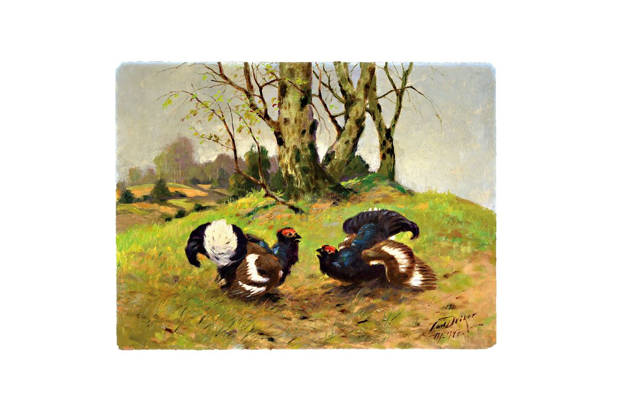 Karl Deiker, 1879-1958 Düsseldorf, Balzende Birkhühner auf einer Lichtung, Öl/Hartfaser, rechts unten sign. und dat. 07 .1947, ca. 60x80cm, ...