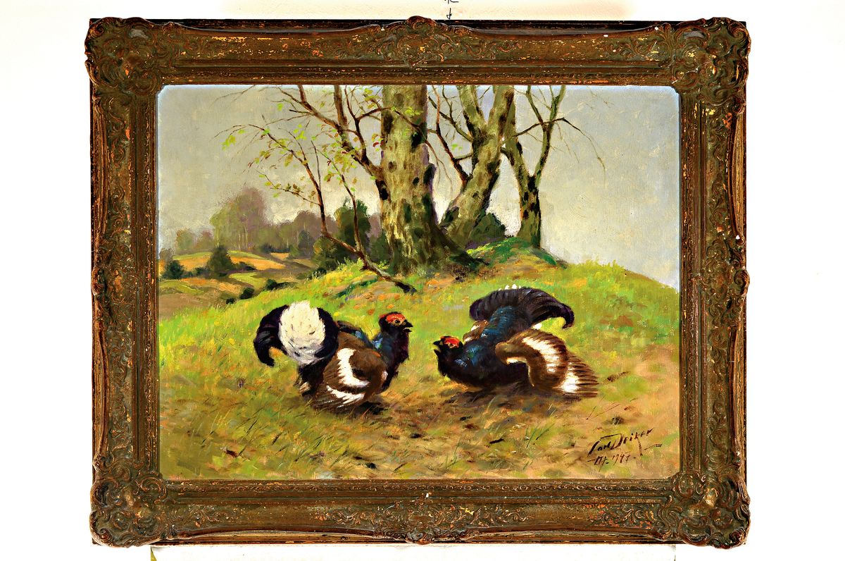 Detail k: Karl Deiker, 1879-1958 Düsseldorf, Balzende Birkhühner auf einer Lichtung, Öl/Hartfaser, rechts unten sign. und dat. 07 .1947, ca. 60x80cm, ...