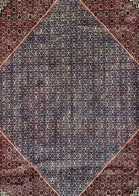 26700637b - Senneh fine, Persia, approx. 50 years, wool oncotton, approx. 335 x 250 cm, cleaned, condition: 1-2. Rugs, Carpets & Flatweaves