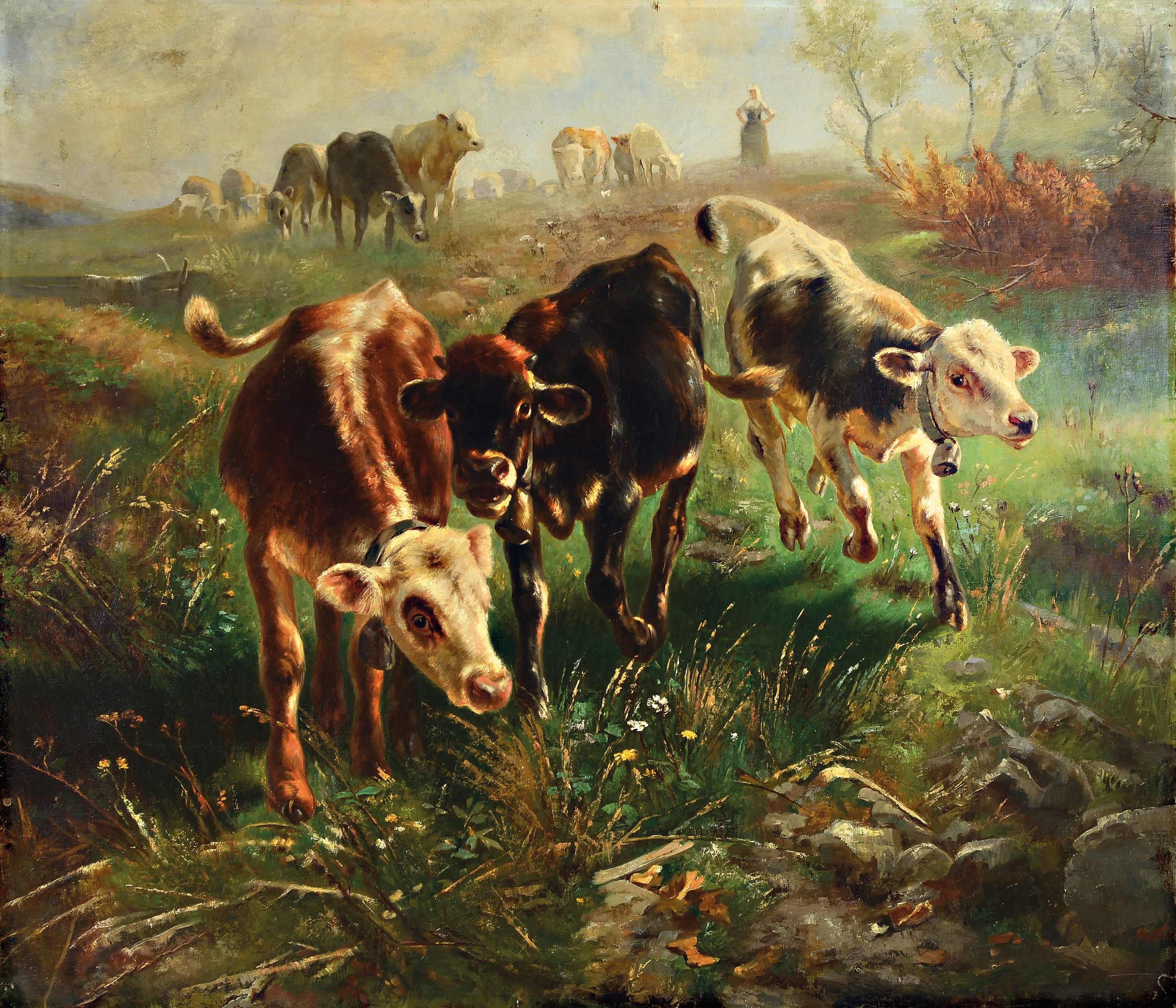 Unbekannter Künstler, um 1900-1910, in der Art des Anton Braith, einen Hügel herabkommende junge Rinder, Öl/LWd, doubl., unsign., ca. 110x127cm ...