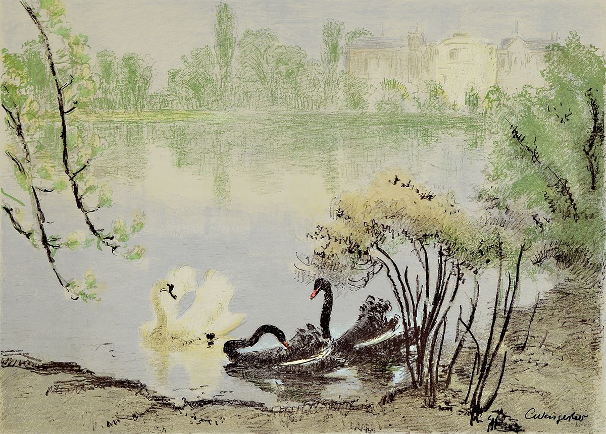Karl Weisgerber, 1891 Ahrweiler-1968 Düsseldorf, Farbradierung, Schwäne im Hofgarten, um 1930, rechts unten signiert, unter Glas gerahmt, 58x75 cm