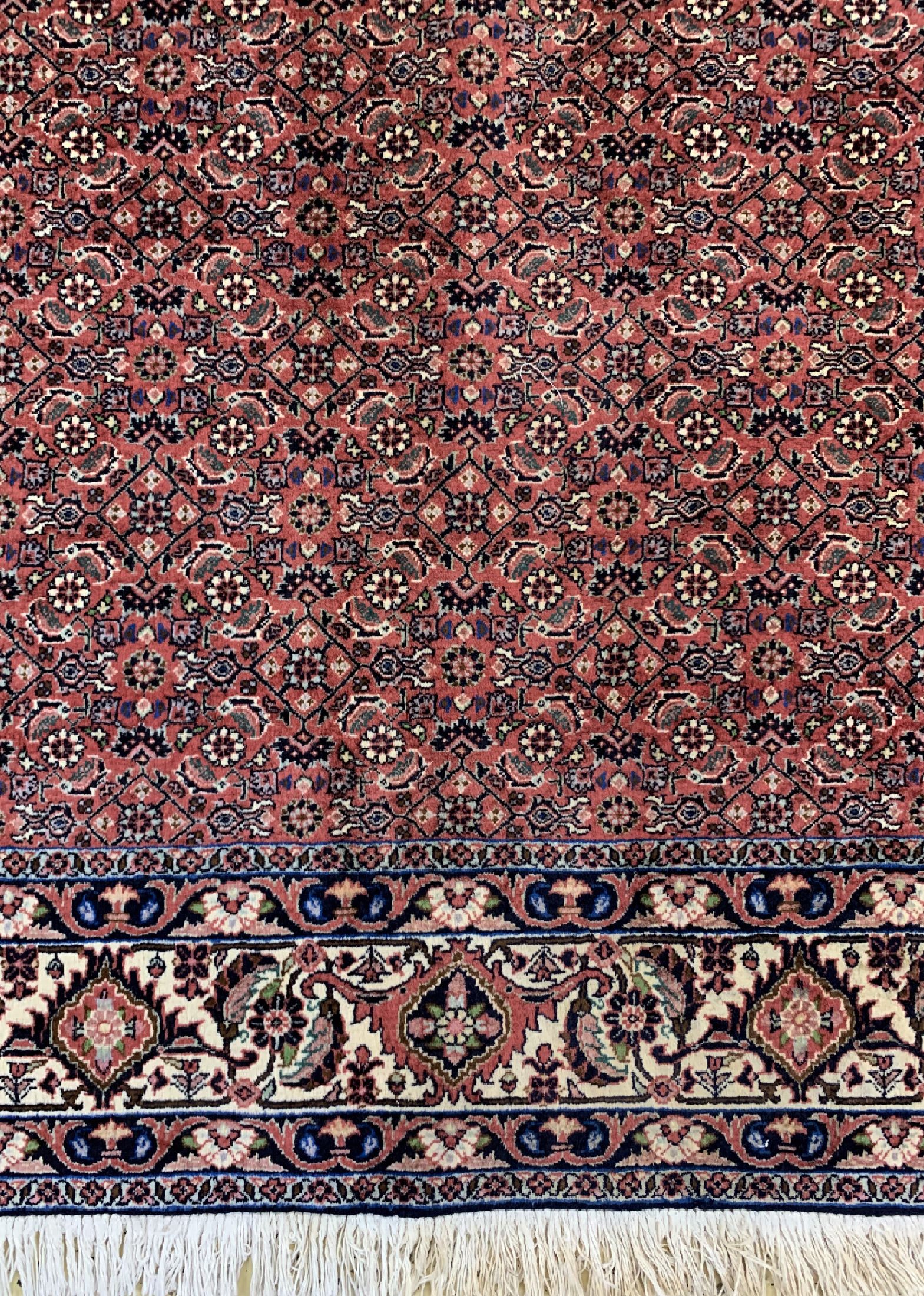 Detail b: Bidjar Kork fein, Persien, ca. 50 Jahre, Korkwolle auf Baumwolle, ca. 240 x 170 cm, gereinigt, EHZ: 1-2