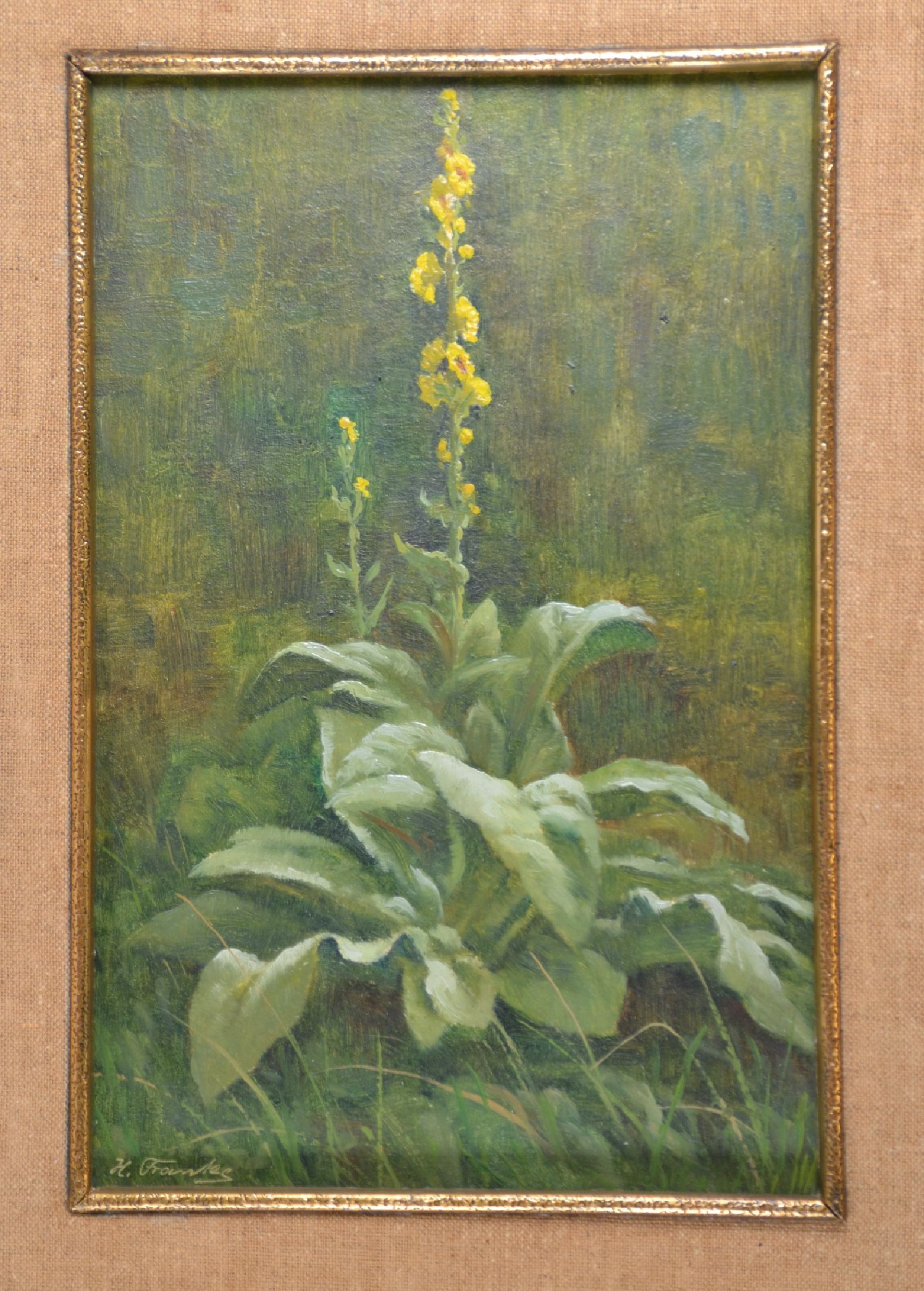 Detail c: Hanny Franke, 1890 Koblenz-1973 Frankfurt am Main, 3 Werke: Blumenstillleben, Öl/Karton, 25x21 cm; "Königskerze", Öl/Karton, 36x29 cm; ...