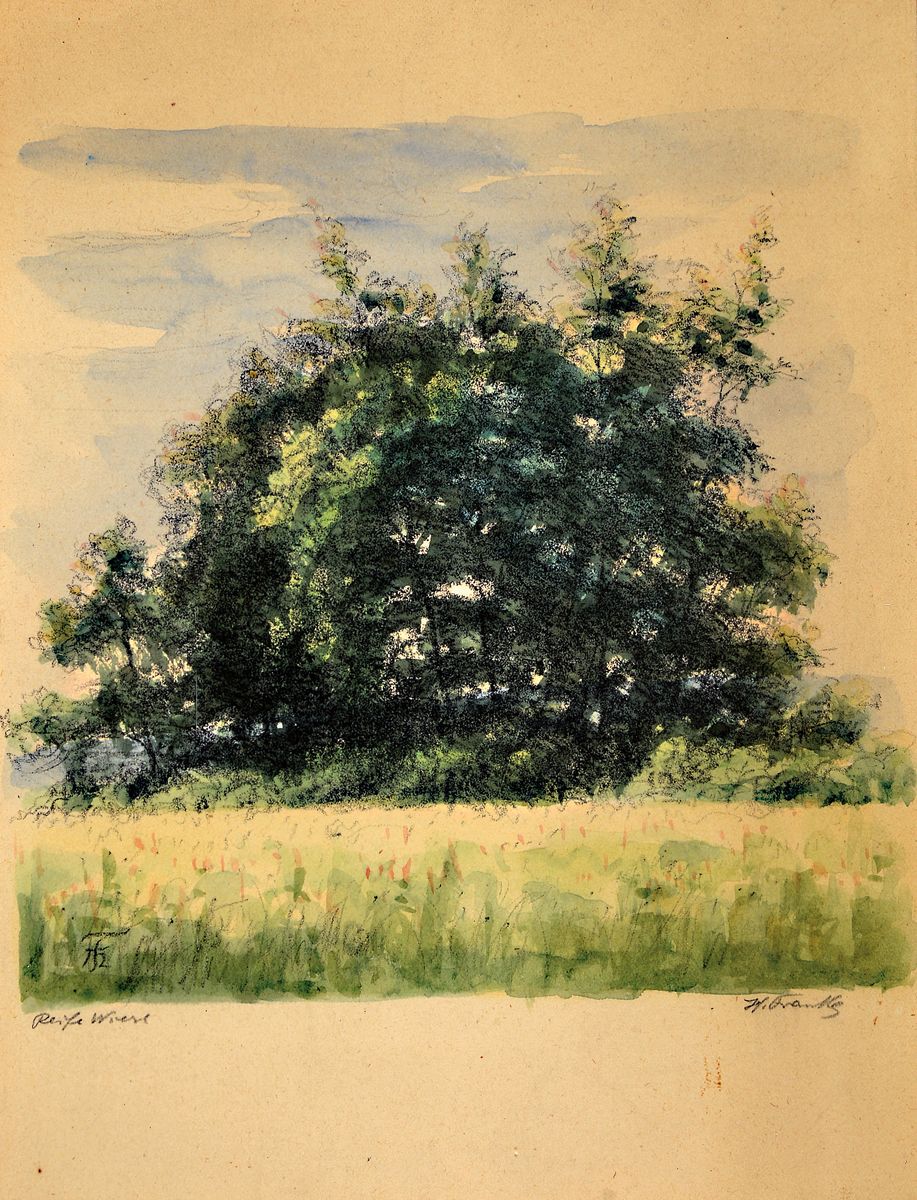 Detail a: Hanny Franke, 1890 Koblenz-1973 Frankfurt am Main, 2 Werke: Aquarell und Kohle auf Papier, "Reife Wiese", 25x20 cm; Radierung, "Bingen ...