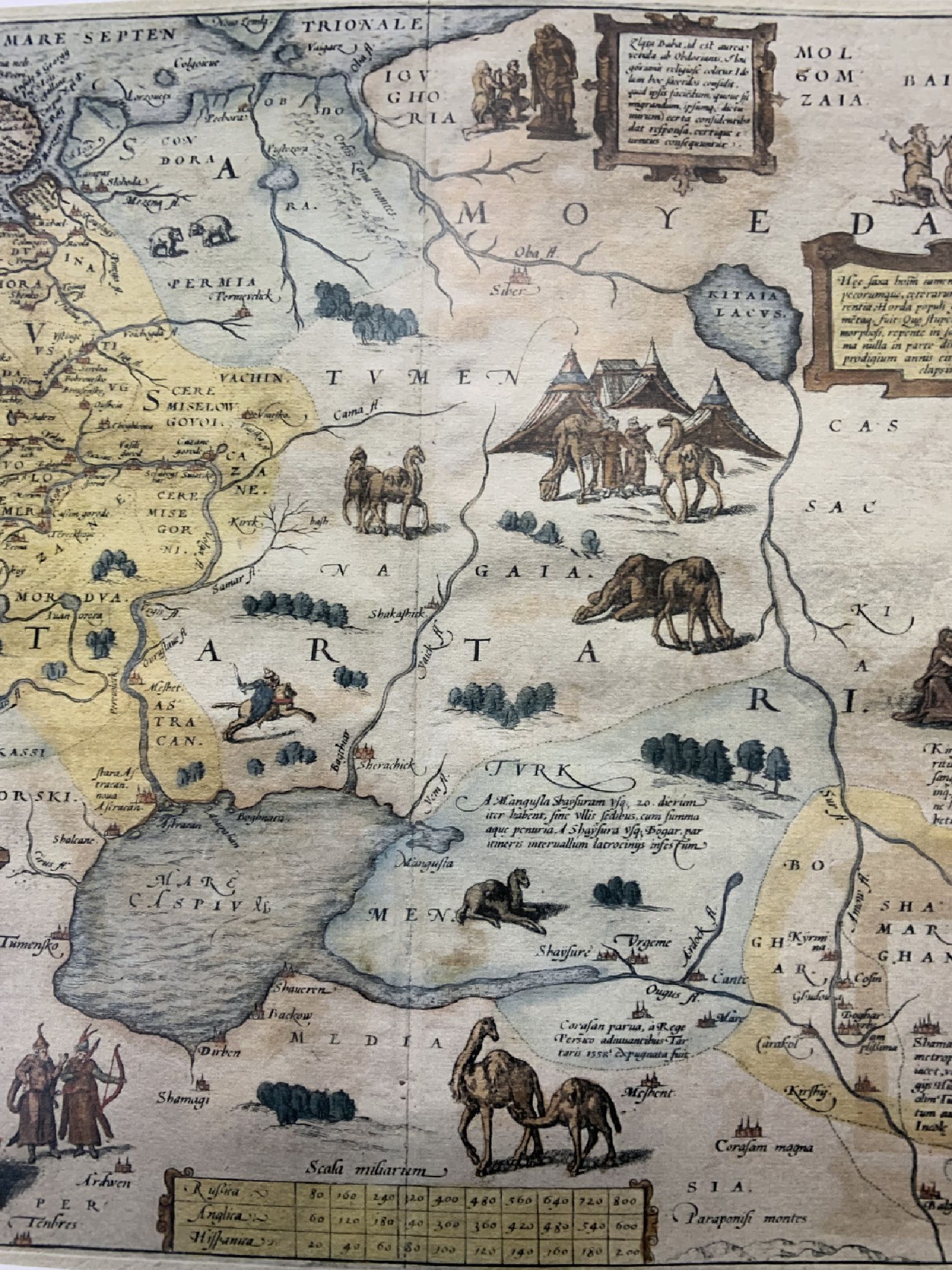Detail b: Teppichbuch, Sketches from the Steppes, of Central Asia", Compiled by V.& A. Rautenstengel, in Original Box.