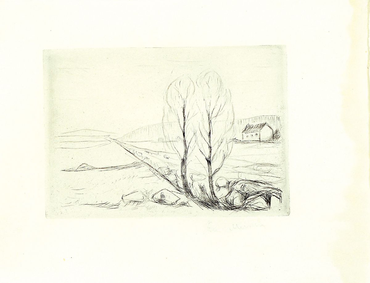 Edvard Munch, 1863-1944, Norwegische Landschaft, Radierung von 1905, rechts unten handsign., ca. 10.5x15cm, WVZ Schiefler 268 II, Woll 298 III, PP, ...