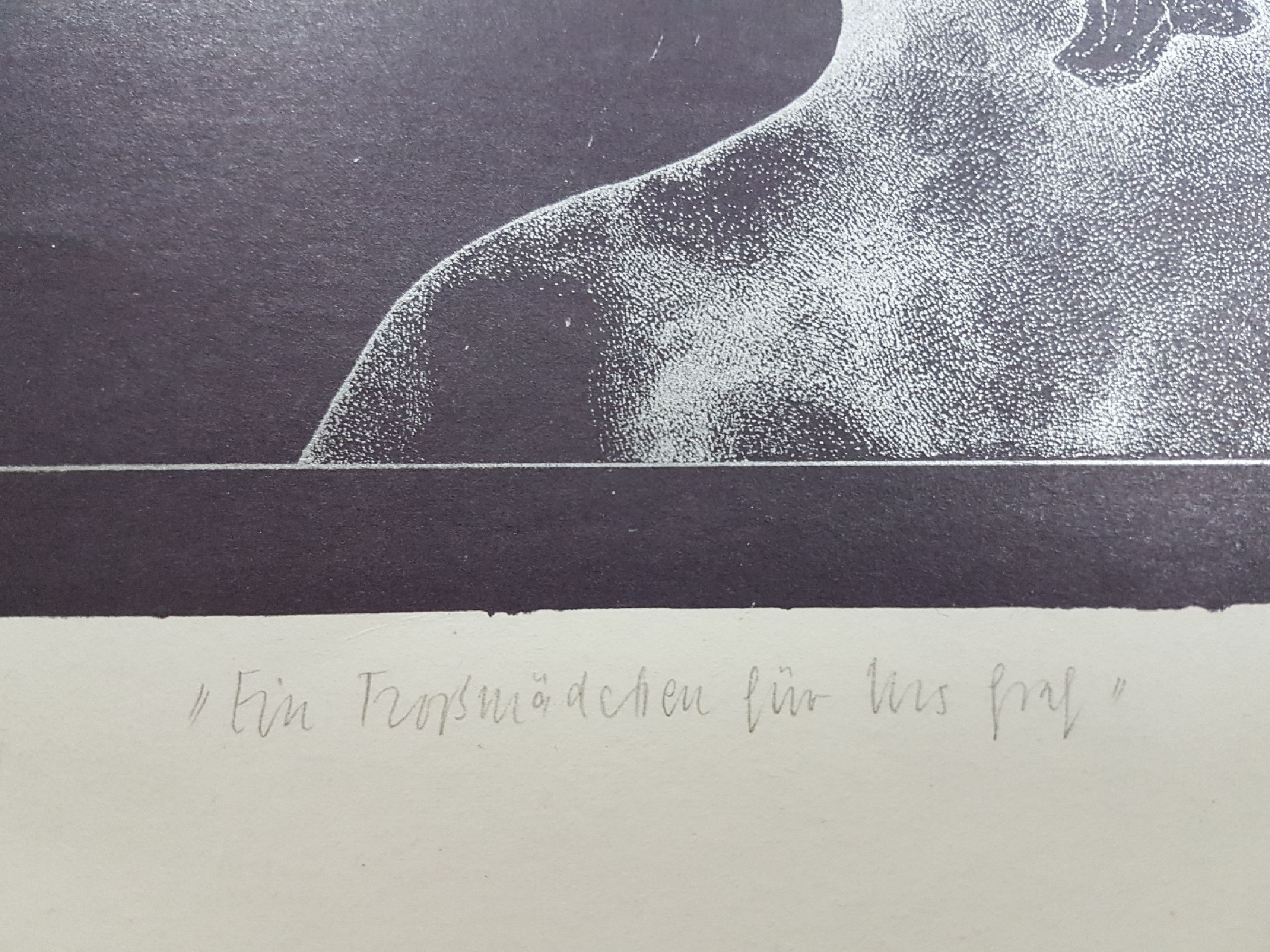 Detail e: Schwarz, Reiner 1940 Hirschberg/Riesengebirge, 2 Lithographien "Typ der gemeinen Michelschen Honigbiene" 1975 45/50, "Ein ...