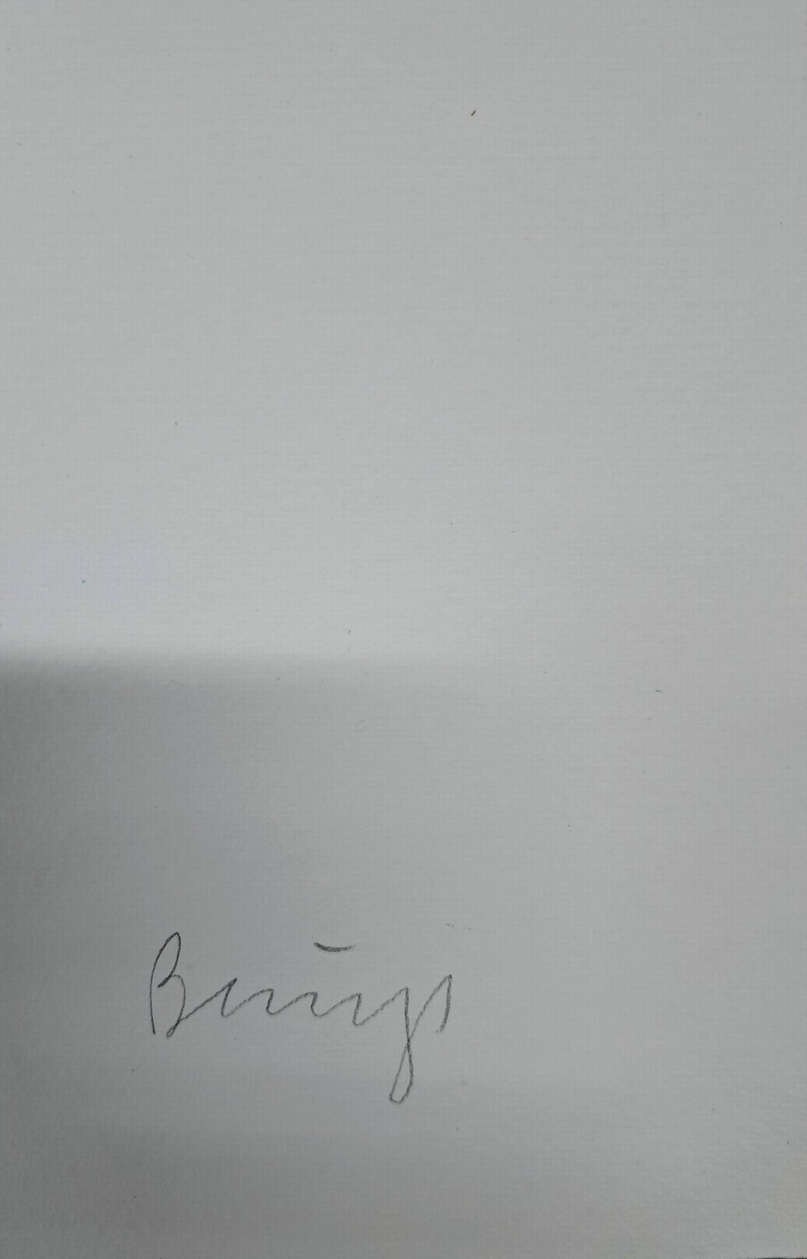 Detail a: Joseph Beuys, 1921 Krefeld - 1986 Düsseldorf , Farblithographie auf Bütten, Zwei weibliche Torsi, 1975, Ed. 67/75, handsigniert, Blatt 54x75 cm, ...