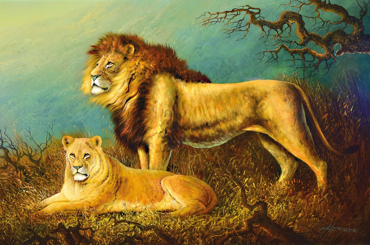 Manfred Herzog, geb. 1949 Ludwigshafen am Rhein, Löwenpaar, Öl/Lwd, naturalistische Malweise, rechts unten signiert, ca. 60x90cm, R. ca. 73x102cm