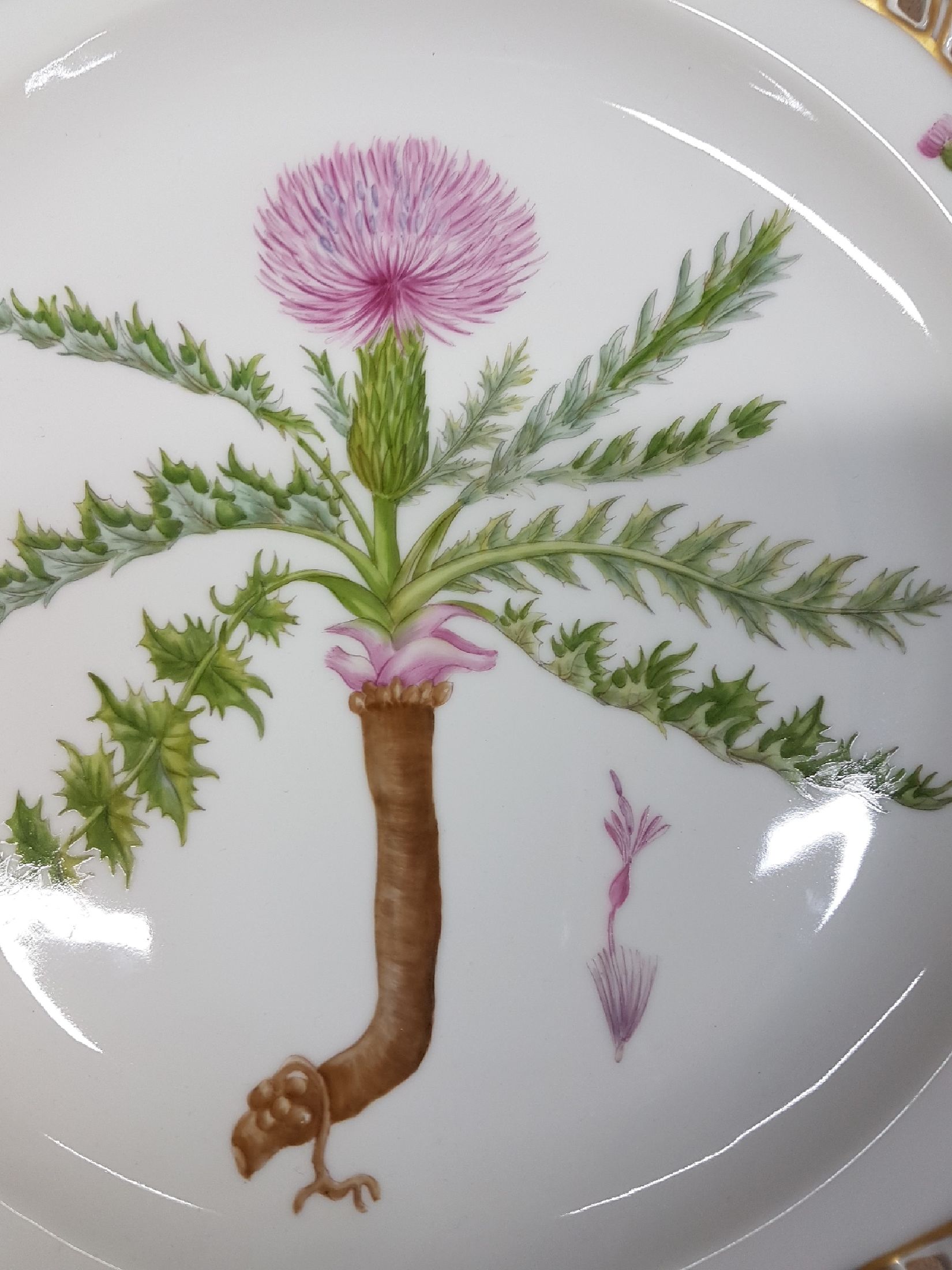 Detail b: Runde Platte, Kgl. Kopenhagen, Serie Flora Danica, Cirsium Acaule All., handbemalt, Rand in Durchbrucharbeit mit Goldspitzenkante, D. ca. 28.5cm