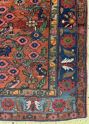 26719774a - Antique Hamadan, Persia, around 1900, wool on cotton, approx. 212 x 147 cm, condition: 3-4. Rugs, Carpets & Flatweaves