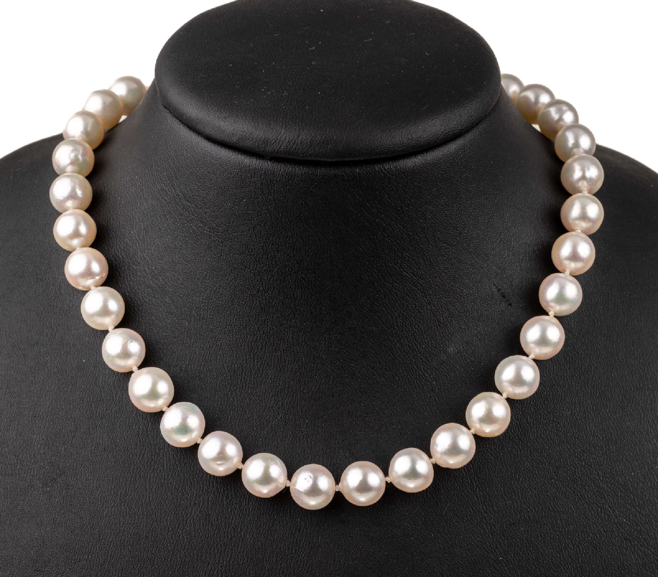 Zuchtperl-Collier 14 kt Gold Schließe, GG/WG 585/000 mit 6 Diamanten zus. ca. 0.053 ct Weiß/si, 45 feine Akoja-Zuchtperlen D. ca. 9 mm, L. ca. 48 ...
