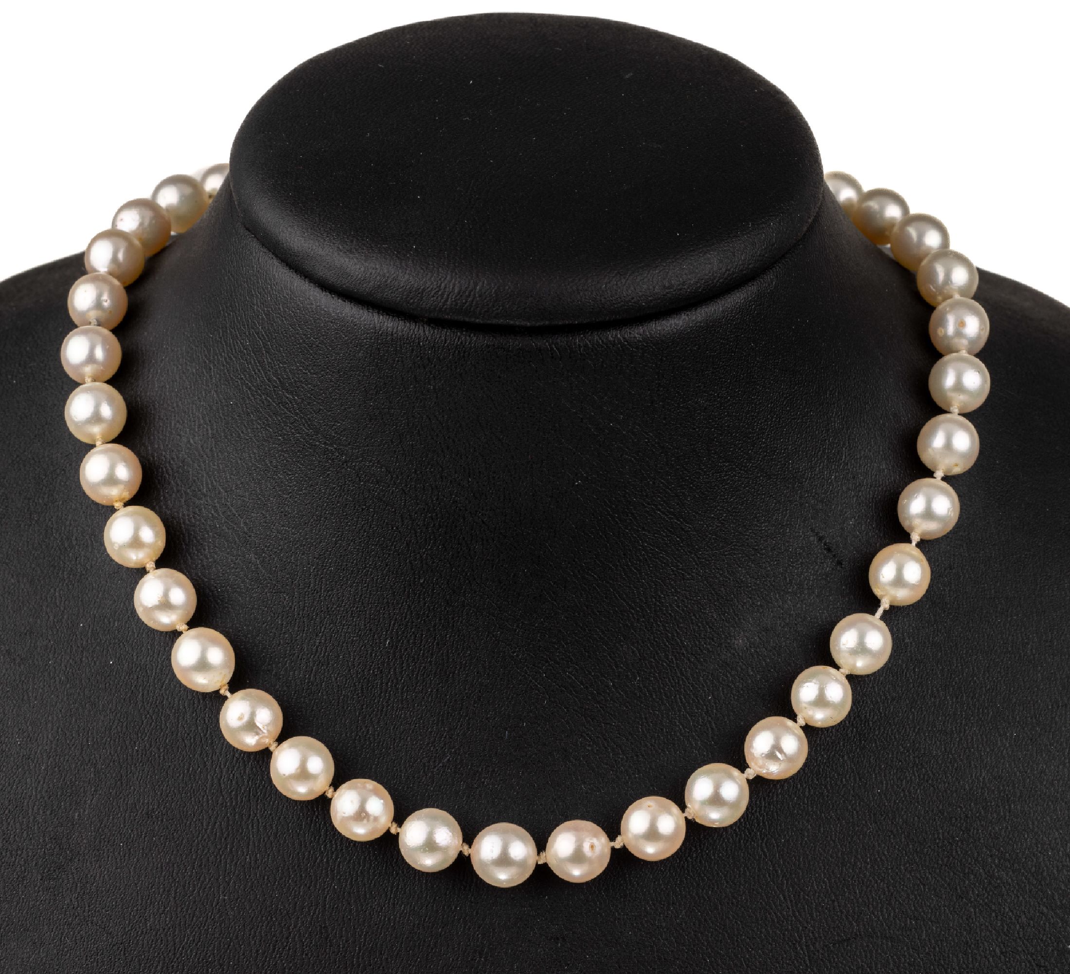 Zuchtperl-Collier mit 14 kt Gold Schließe, WG 585/000, Akoyazuchtperlen, D. ca. 8 mm, Kugelschließe, L. ca. 100 cm