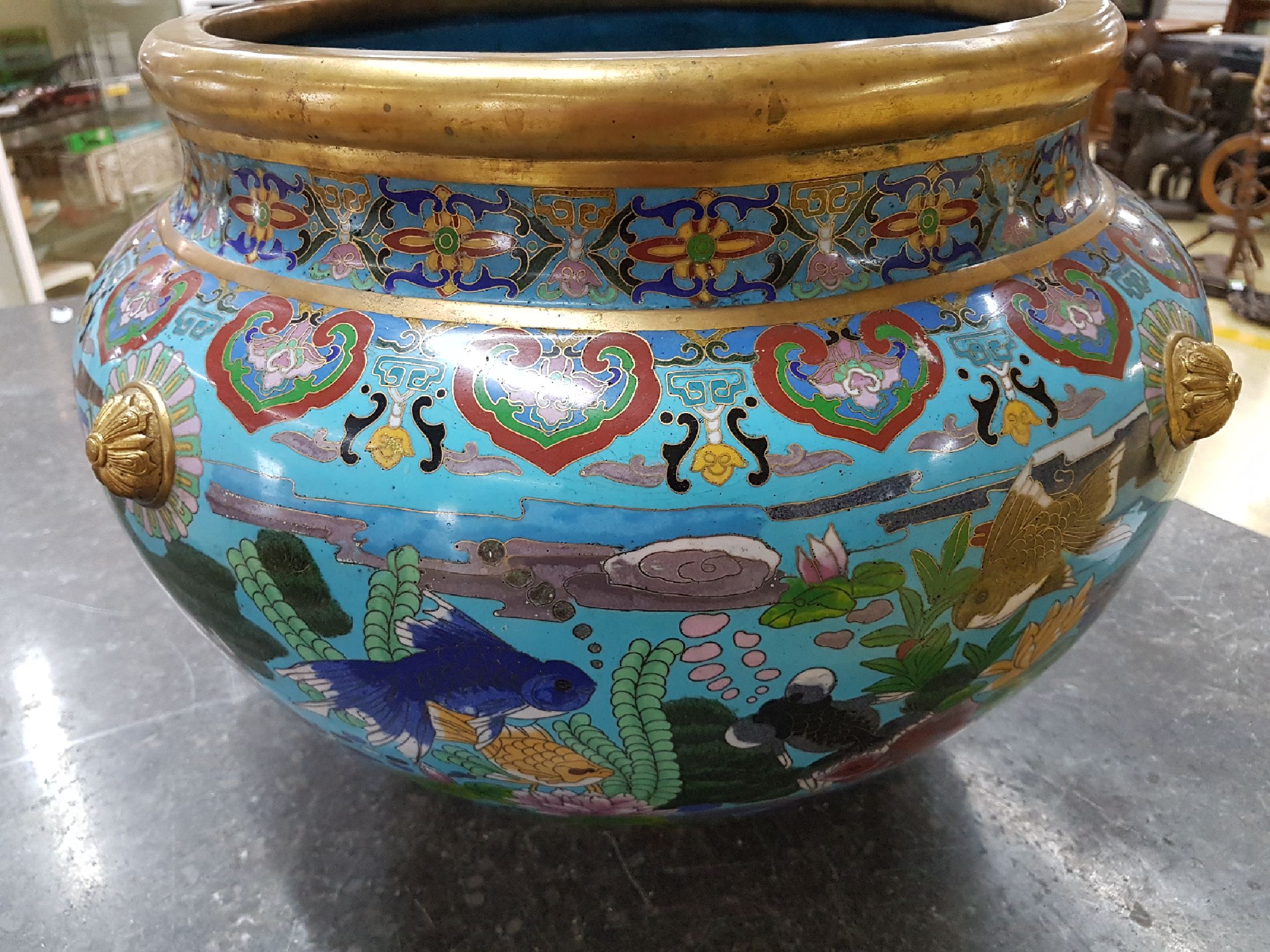 Detail d: Großer Fischtopf, China, um 1900/20, Cloisonne, türkisblauer Grund, vier stilisierte Bronze-Handhaben, flächendeckender Dekor mit Fischen und ...