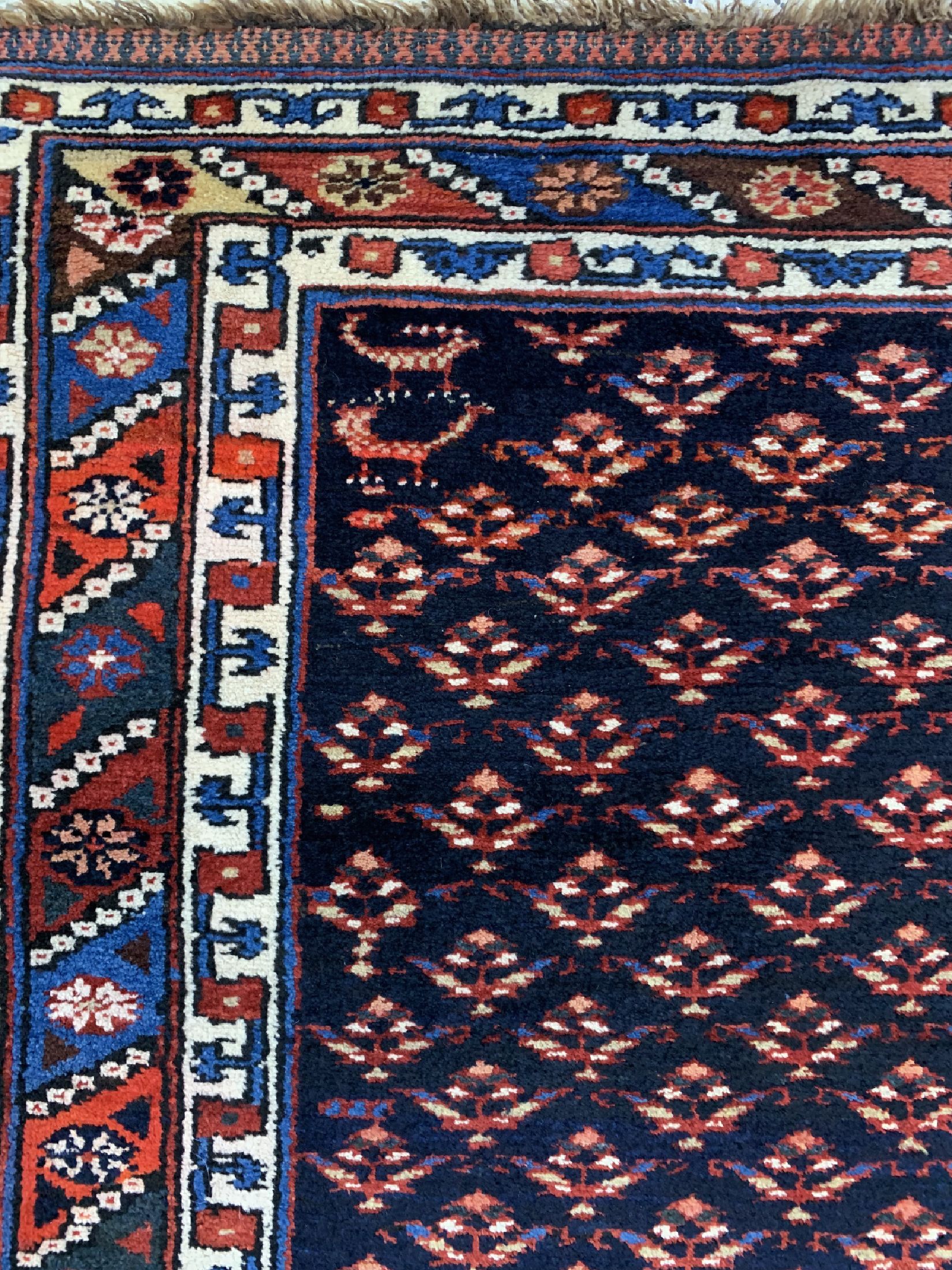 Detail d: Antiker Shahsawan (Region Weramin), Persien, um 1900, Wolle auf Wolle, ca. 280 x 150 cm, EHZ: 1-2