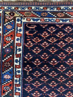 26727223d - Antique Shahsawan (Weramin region), Persia, around 1900, wool on wool, approx. 280 x 150 cm, condition: 1-2. Antique, old and decorative collector Orientalrugs, Carpets, Textiles and Flatweaves