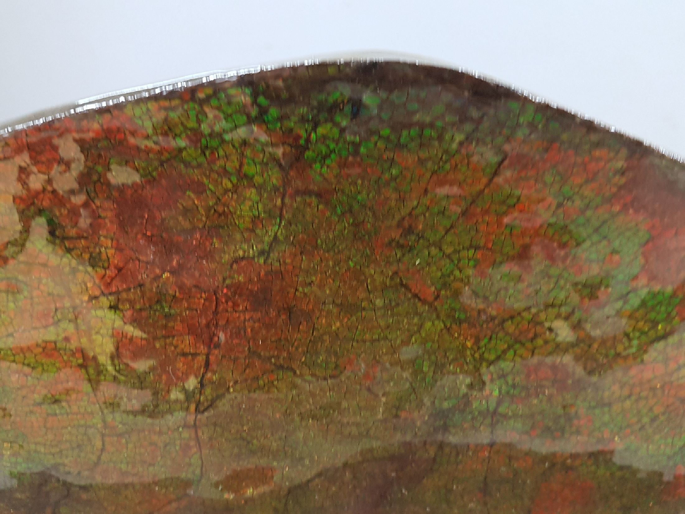 Detail d: Ammolit, Kanada, Kreidezeit, orange-grün opaleszierend, fein krakelierte Oberfläche, geschliffen und poliert, mit Registrationszertifikat der ...