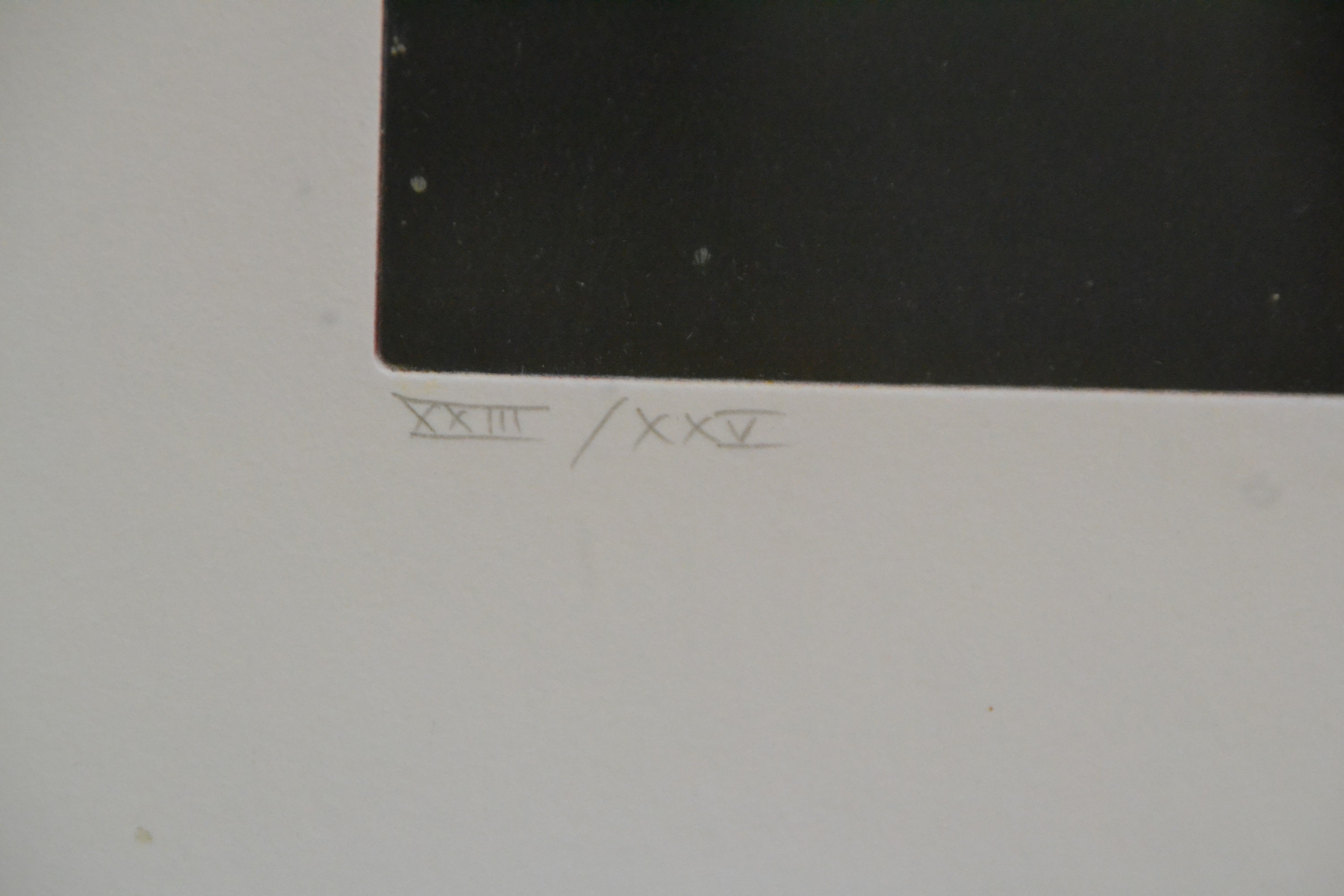 Detail c: Karin Kneffel, geb. 1957, Kirschen, Farbradierung, handsigniert und dat. 2005, num. XXII/XXV, ca. 59x59cm, u.Gl., R. ca. 90x88cm