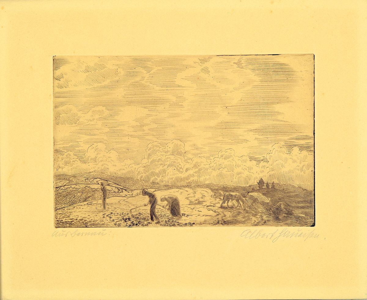 Albert Haueisen, 1872 Stuttgart-1954 Kandel,Radierung, "Auf Bernau" so bez., pflügende Bauern in Höhenlage, rechts unten signiert, verso ...