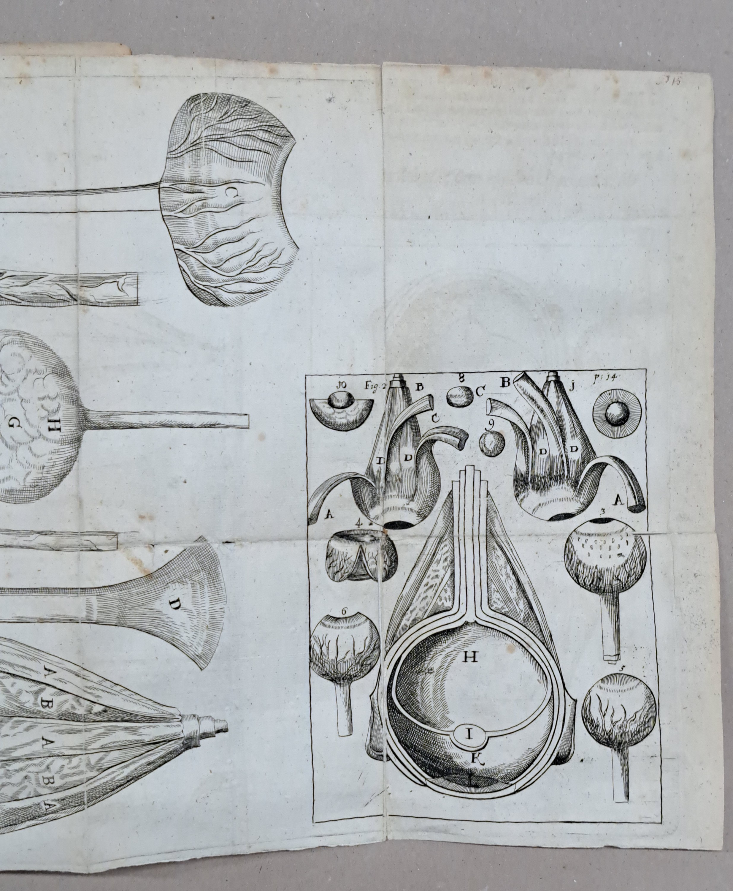 Detail e: Ophtalmologie: Georg Bartisch (1535-1607): Augen-Dienst. Bericht von allen und jeden in- und äusserlichen Mängelns, Schäden, Gebrechen und ...