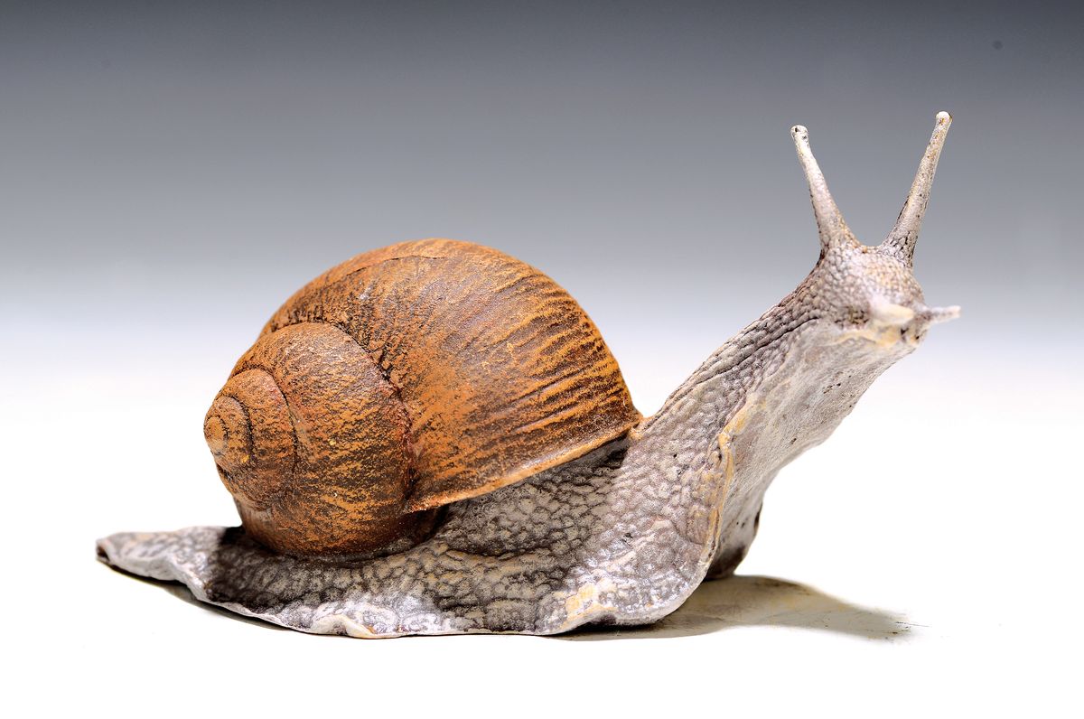 Grosse Wiener Bronze, sign., Weinbergschnecke, bunt staffiert, ca. 5x10 cm