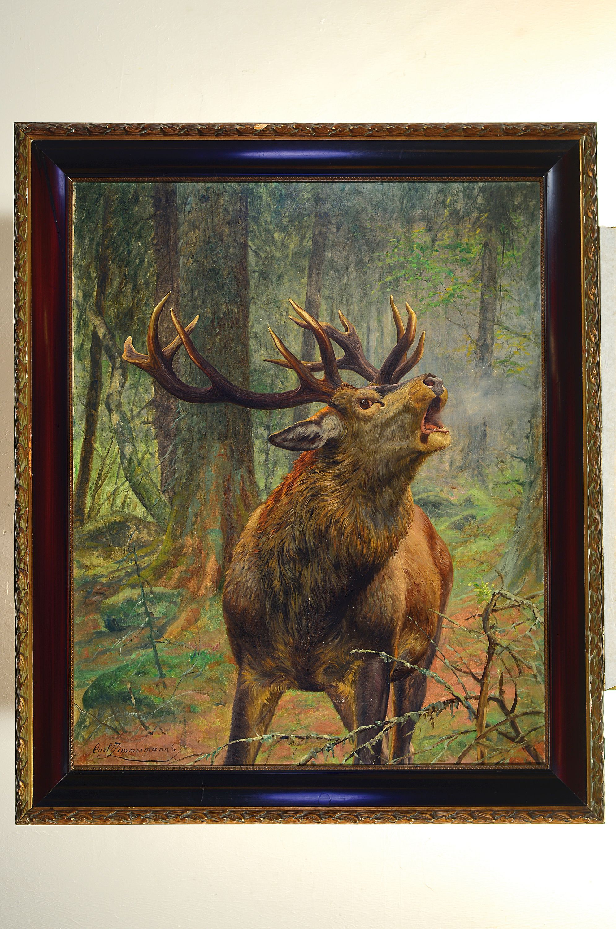 Detail k: Carl Zimmermann, 1864 Halberstadt-1930 Goslar, Röhrender Hirsch im dichten Wald, Öl/Lwd, rechts unten signiert, ca. 100x80cm, R. ca. 118x98cm